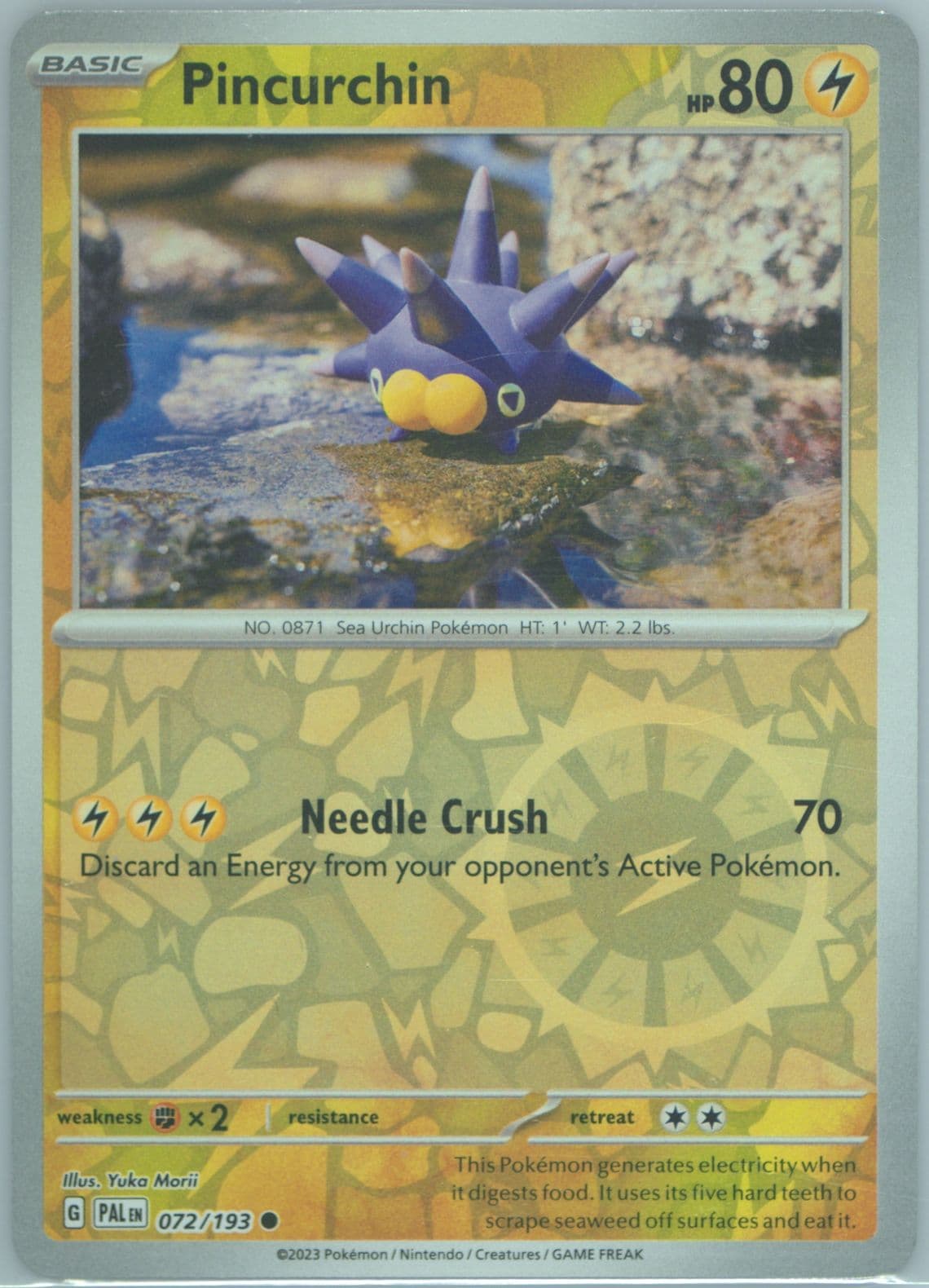 Pincurchin Reverse Holo (072) 2023 Pokemon Pal EN-Paldea Evolved