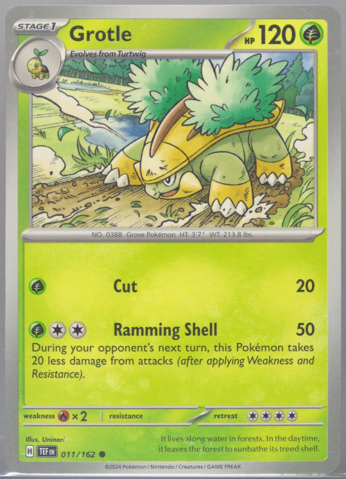 Grotle (011) 2024 Pokemon Tef EN-Temporal Forces