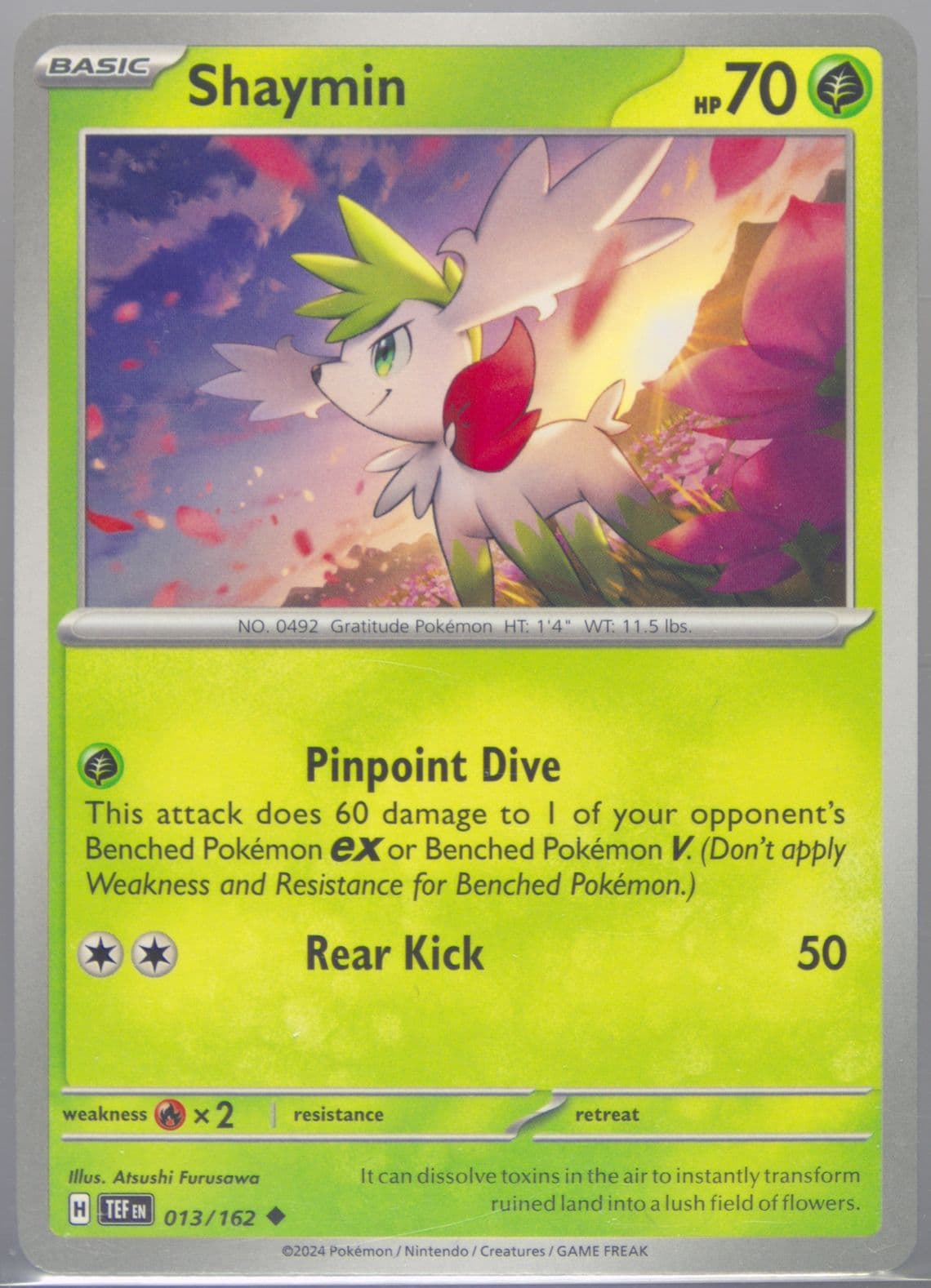 Shaymin (013) 2024 Pokemon Tef EN-Temporal Forces