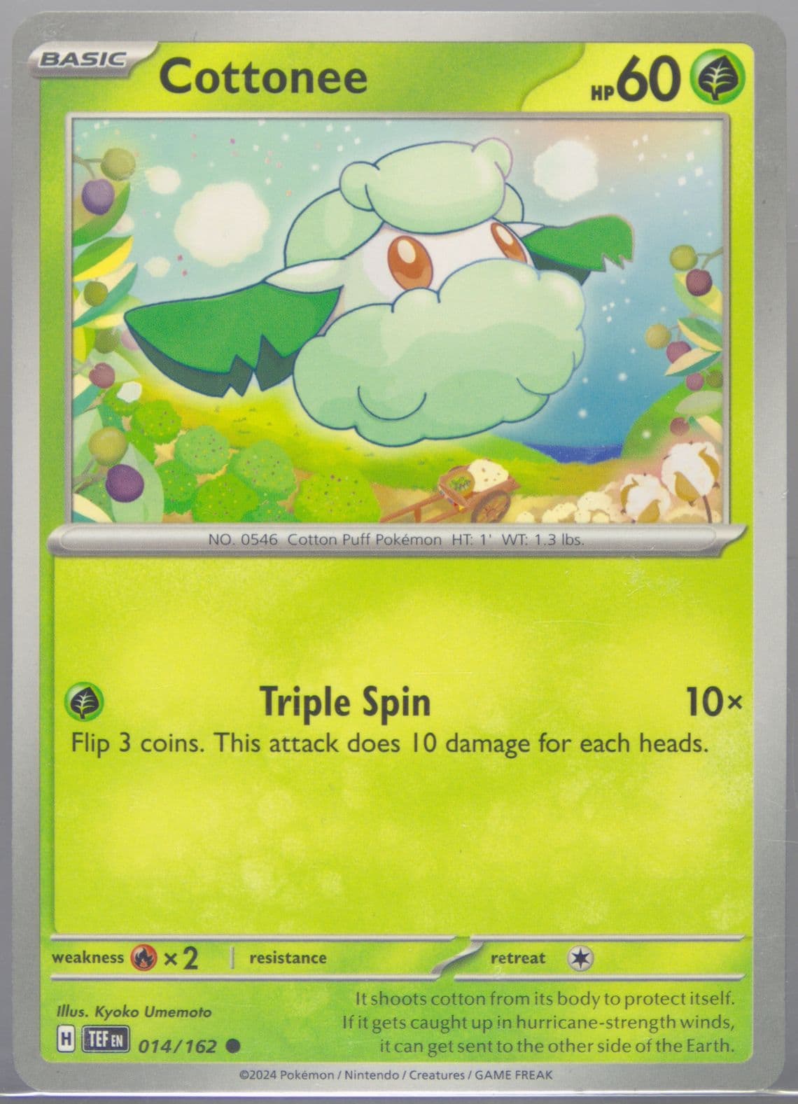 Cottonee (014) 2024 Pokemon Tef EN-Temporal Forces