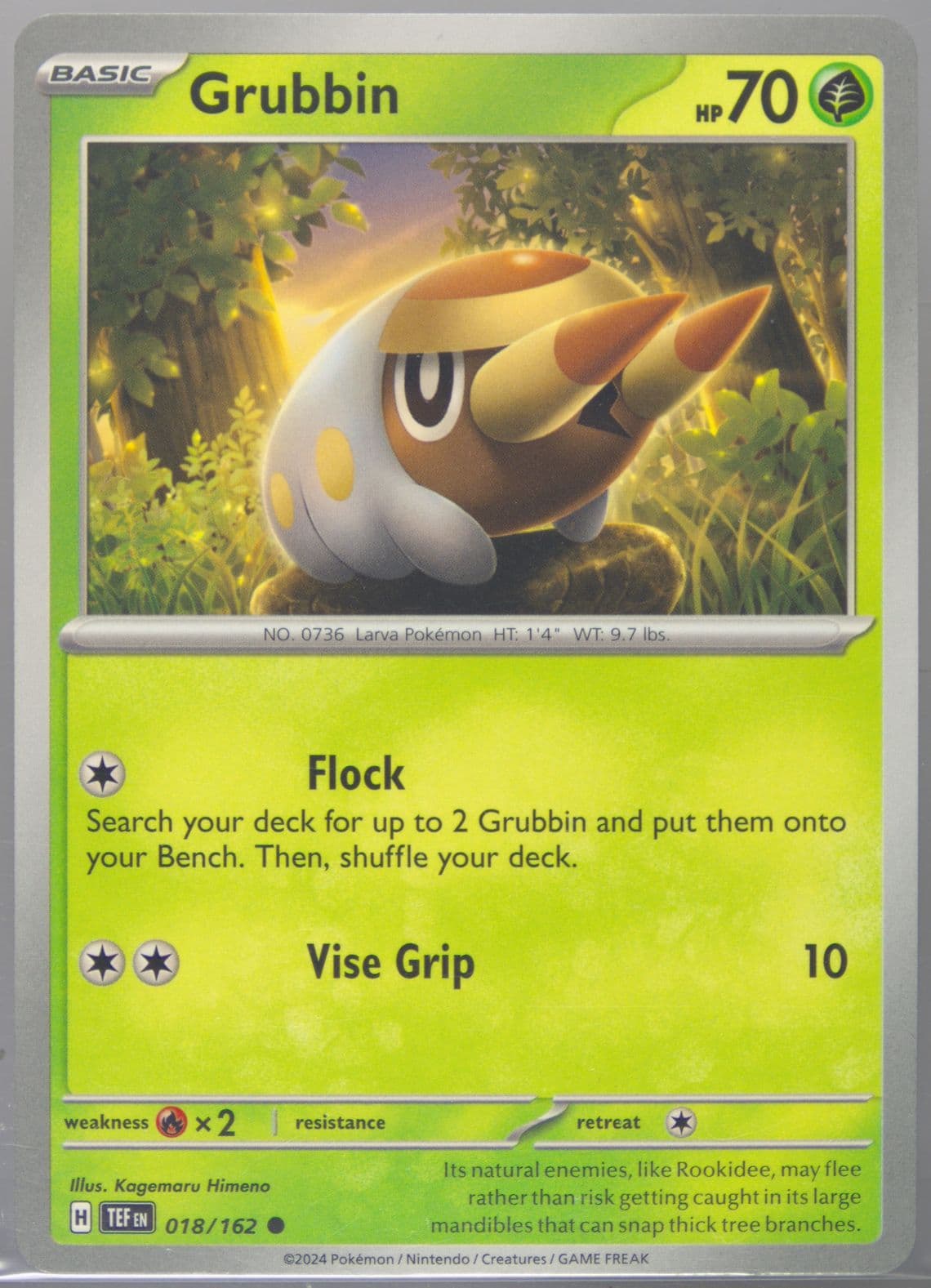 Grubbin (018) 2024 Pokemon Tef EN-Temporal Forces