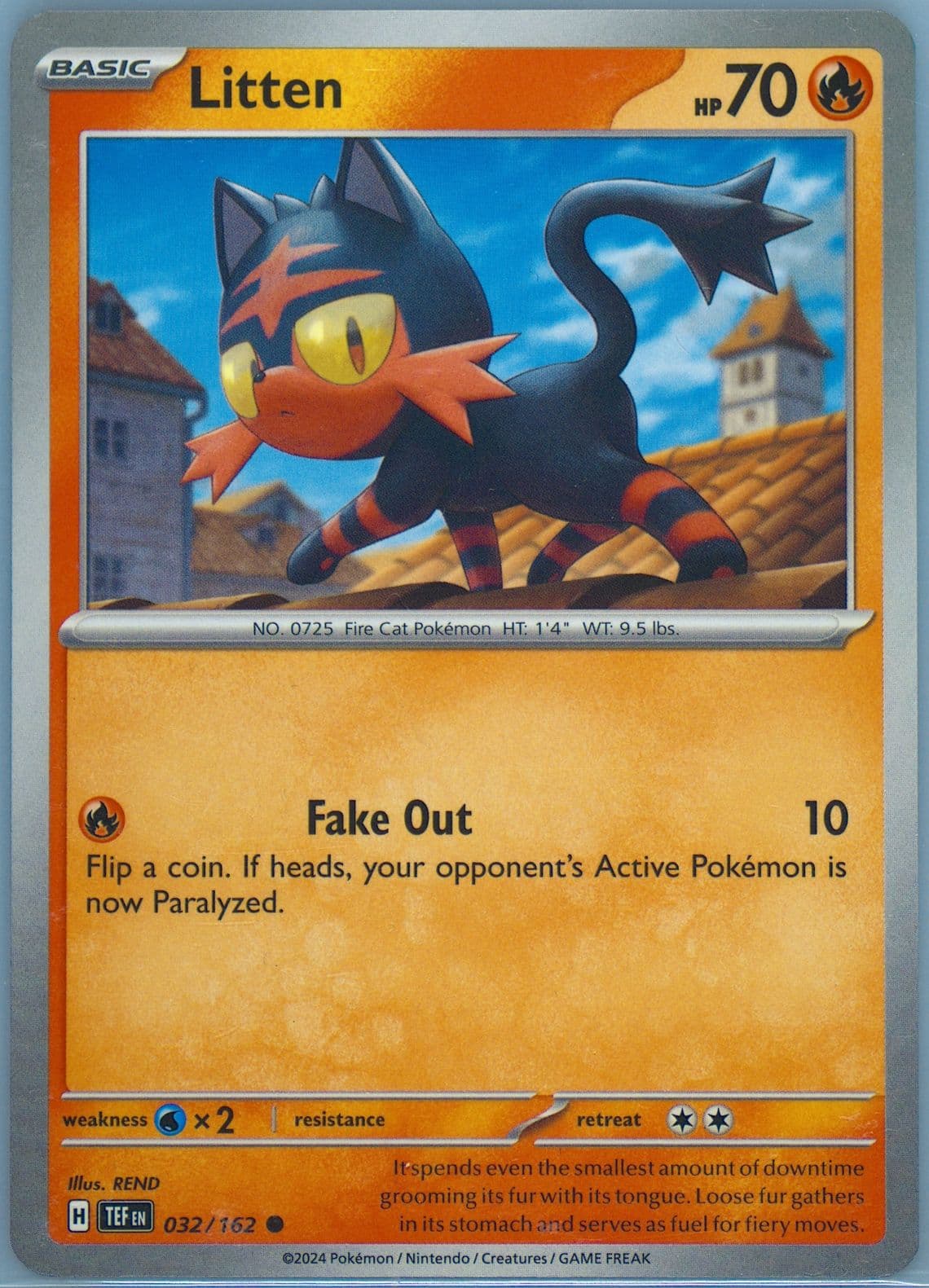 Litten (032) 2024 Pokemon Tef EN-Temporal Forces