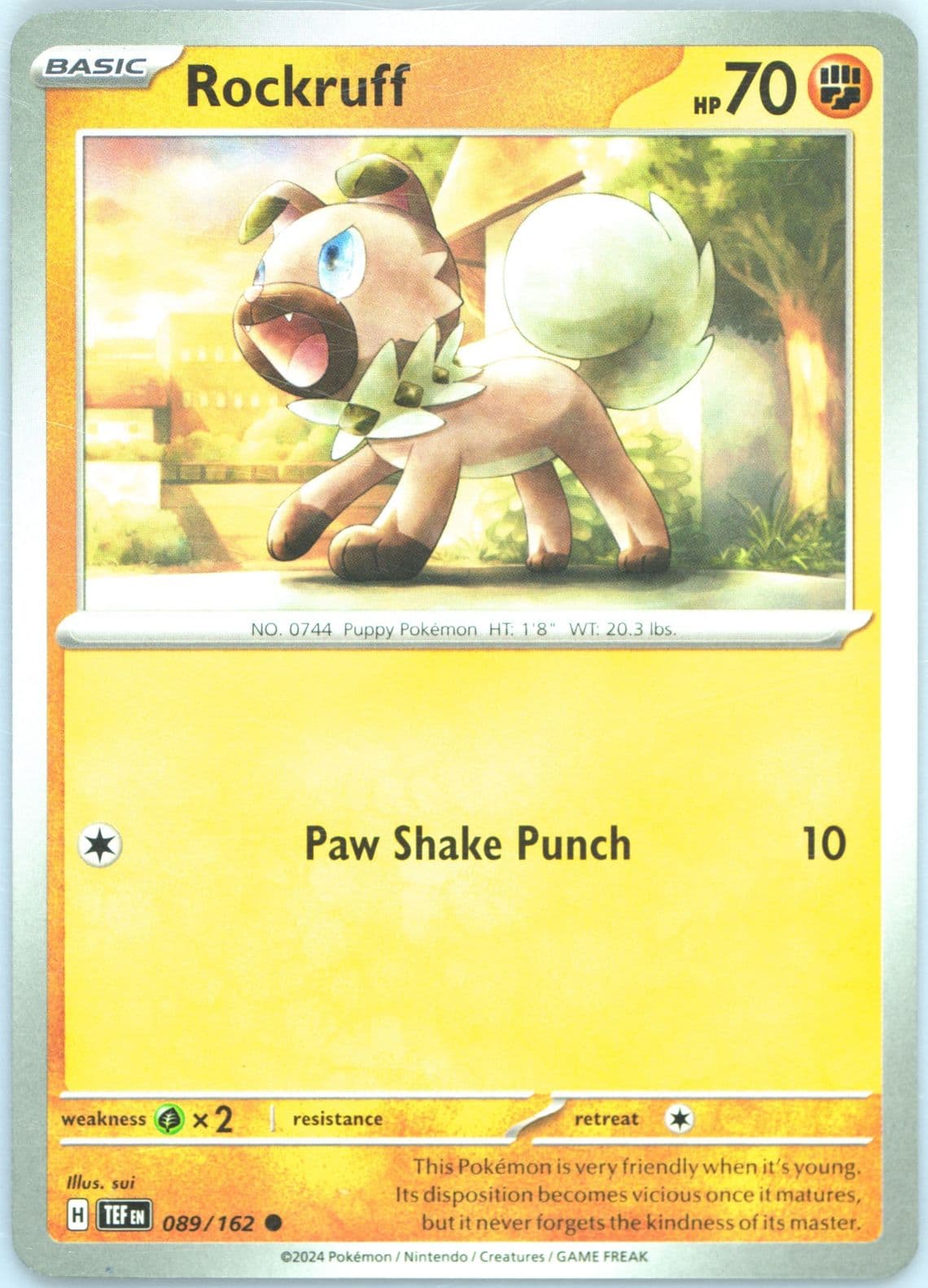 Rockruff (089) 2024 Pokemon Tef EN-Temporal Forces