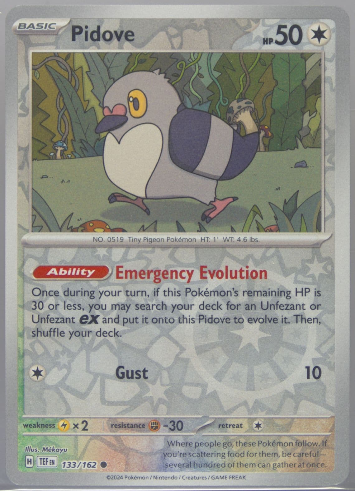 Pidove (133) 2024 Pokemon Tef EN-Temporal Forces