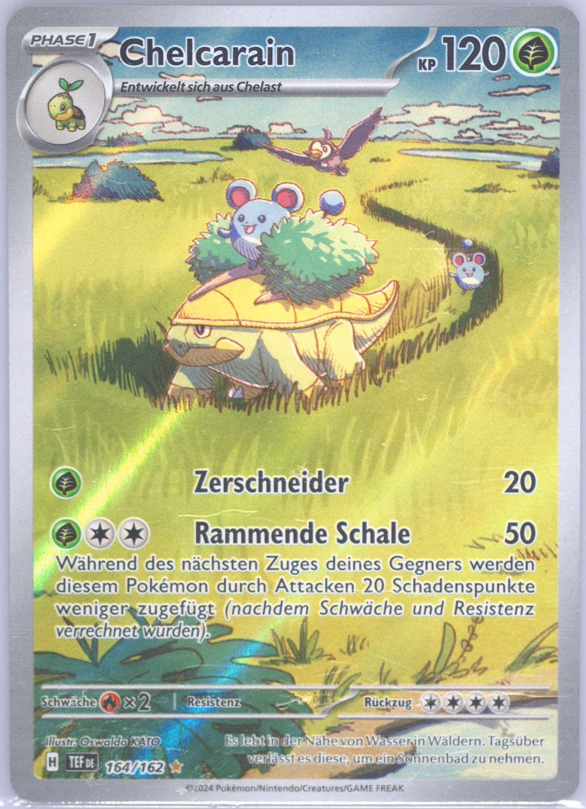 Grotle Illustration Rare (164) 2024 Pokemon German Tef de-Temporal Forces