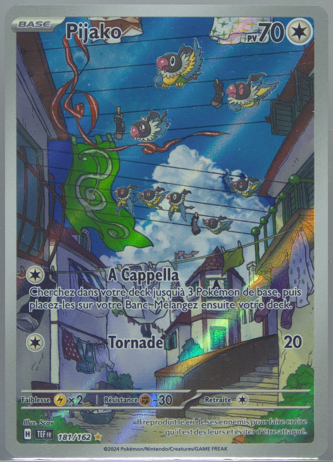 Chatot Illustration Rare (181) 2024 Pokemon French Tef FR-Temporal Forces