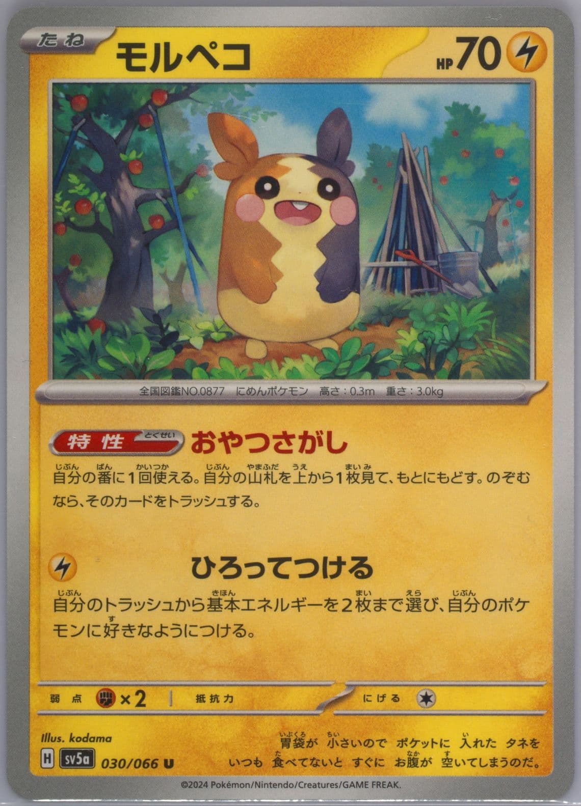 Morpeko (030) 2024 Pokemon Japanese Sv5a-Crimson Haze