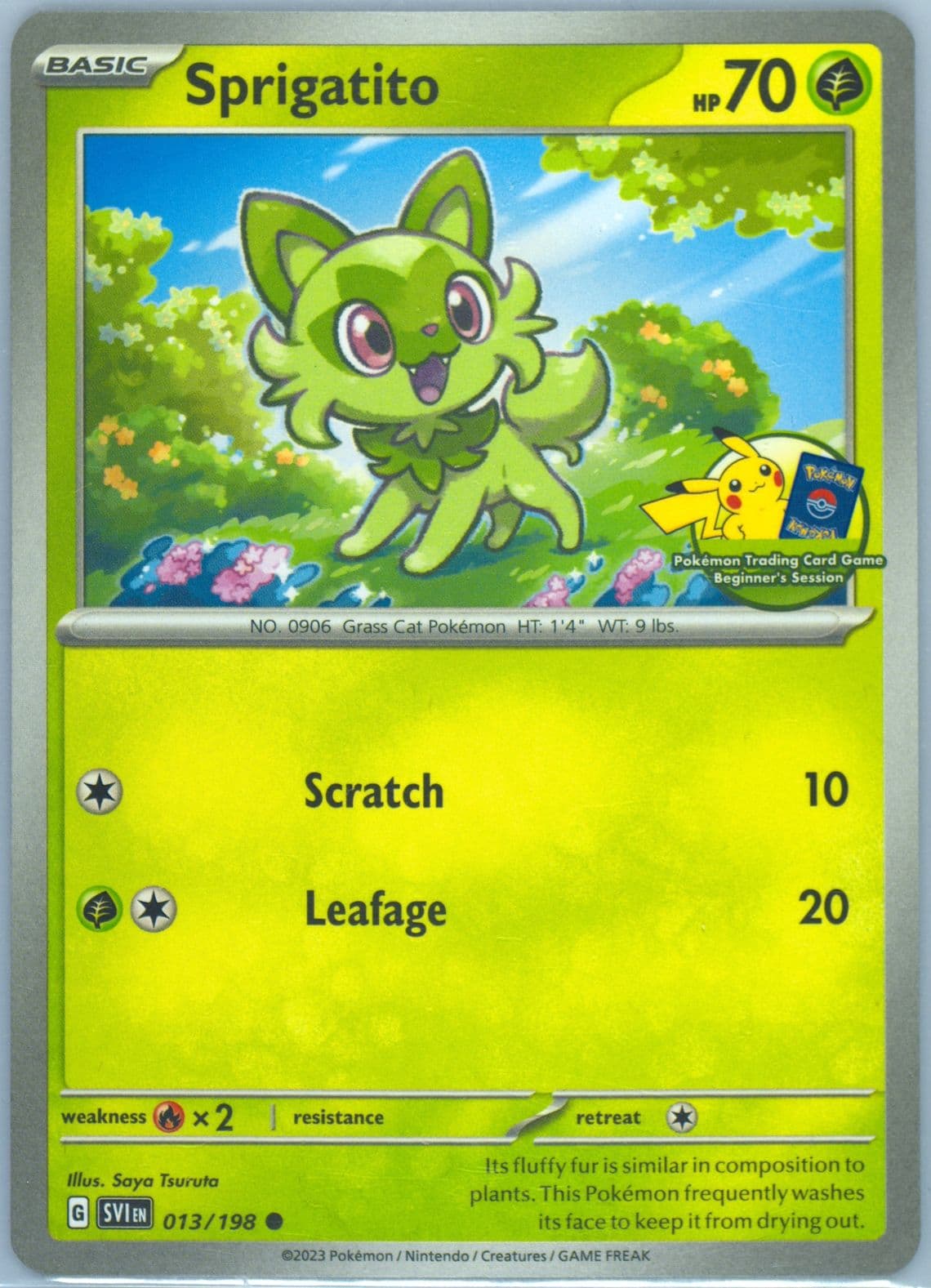 Sprigatito Beginner's Session (013) 2023 Pokemon Svi EN-Scarlet & Violet