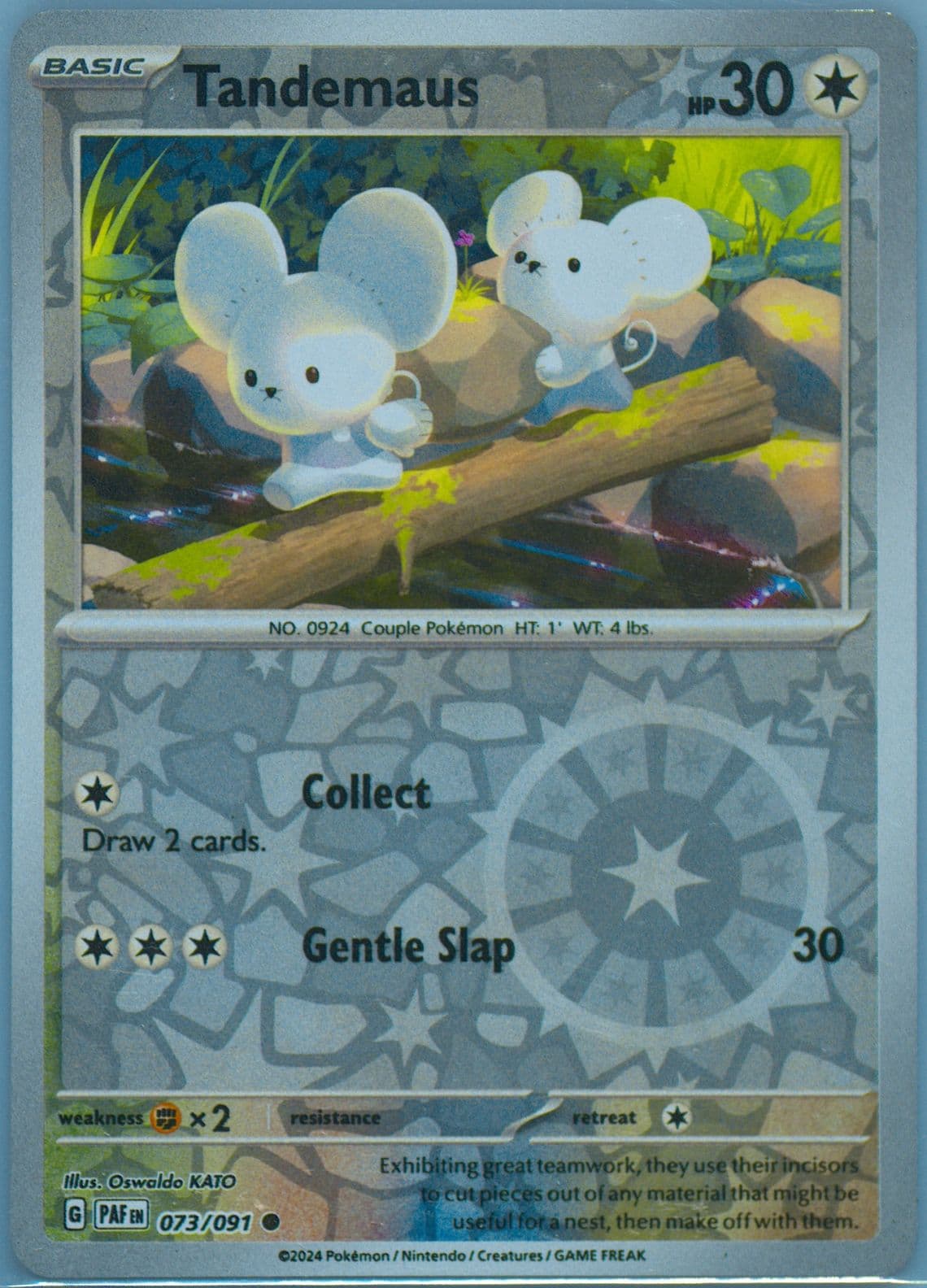 Tandemaus Reverse Holo (073) 2024 Pokemon Paf EN-Paldean Fates