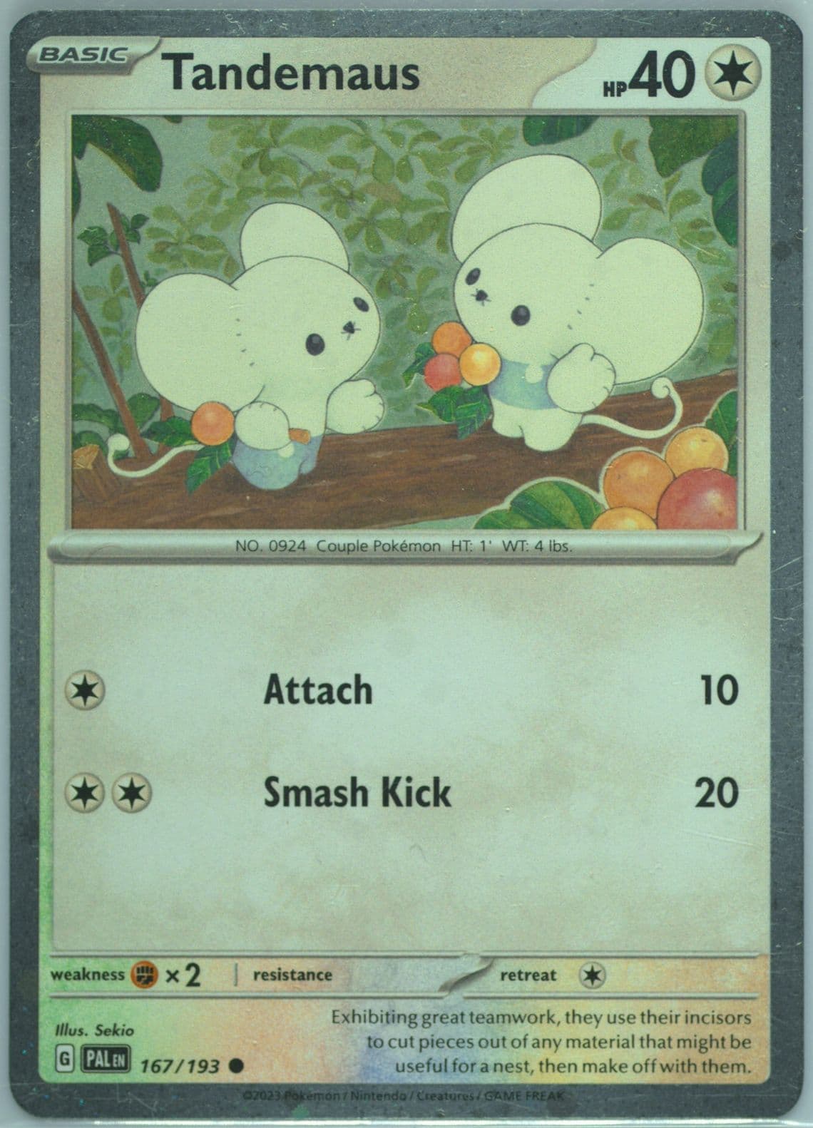 Tandemaus Paldea Adventure Chest (167) 2023 Pokemon Pal EN-Paldea Evolved