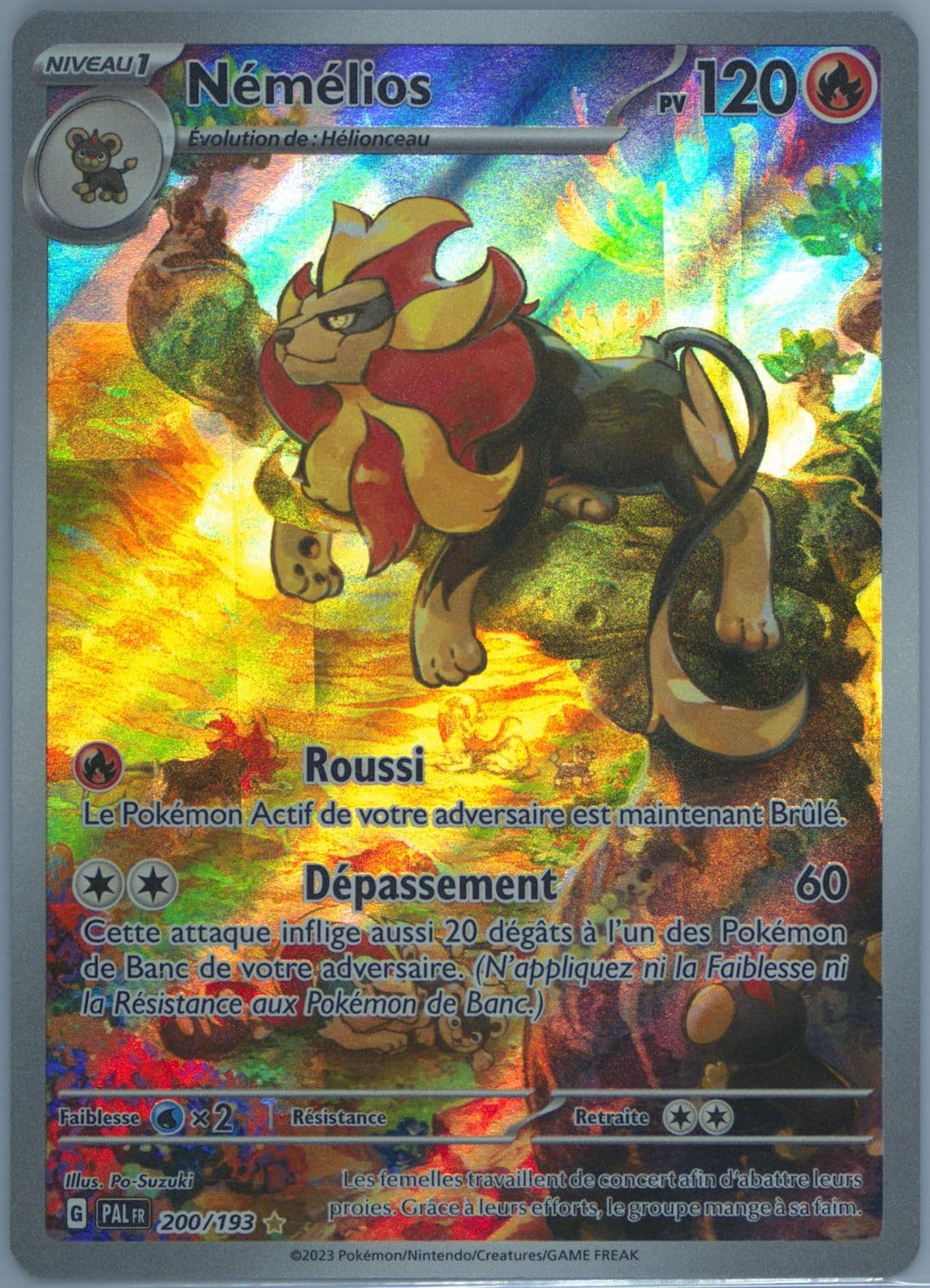 Pyroar Illustration Rare (200) 2023 Pokemon French Pal FR-Paldea Evolved