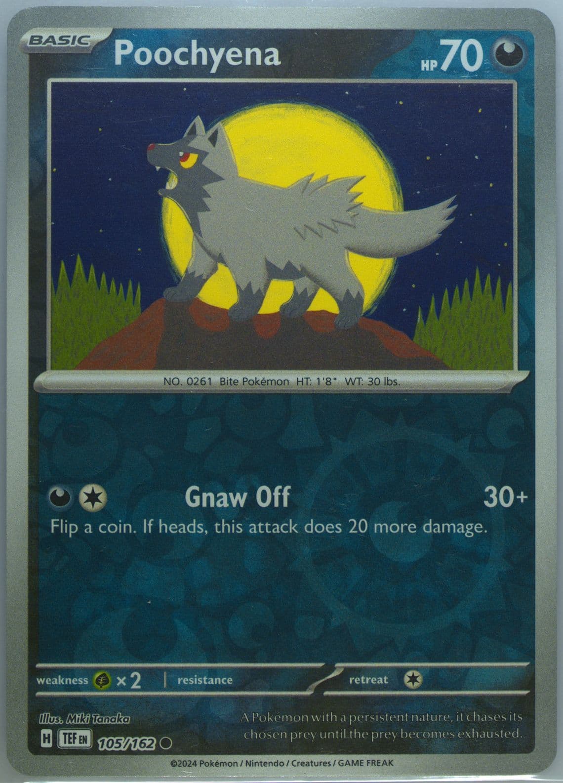 Poochyena Reverse Holo (105) 2024 Pokemon Tef EN-Temporal Forces