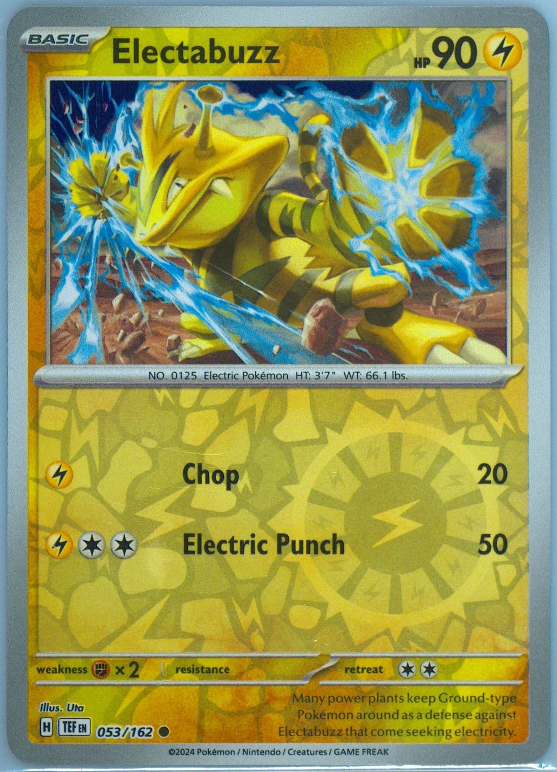 Electabuzz Reverse Holo (053) 2024 Pokemon Tef EN-Temporal Forces