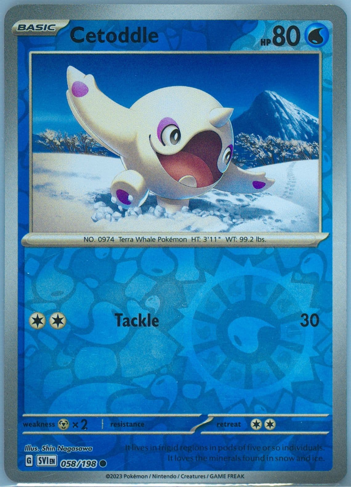 Cetoddle Reverse Holo (058) 2023 Pokemon Svi EN-Scarlet & Violet