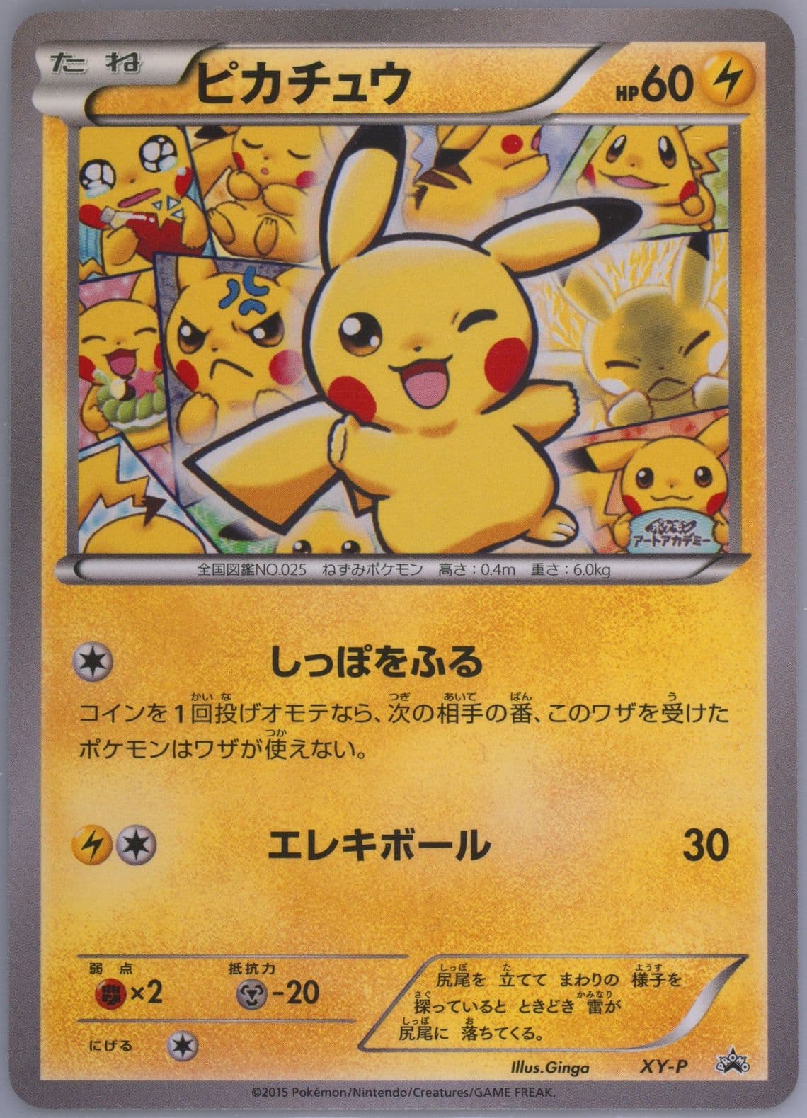 Pikachu Art Academy-Ginga (XY-P) 2015 Pokemon Japanese XY Promo