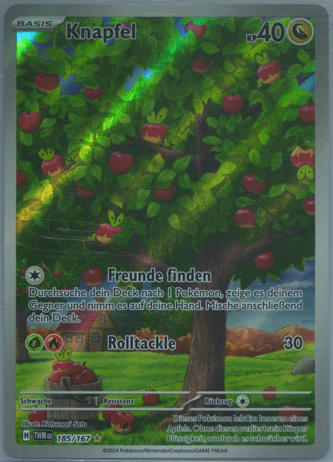 Applin Illustration Rare (185) 2024 Pokemon German Twm de-Twilight Masquerade