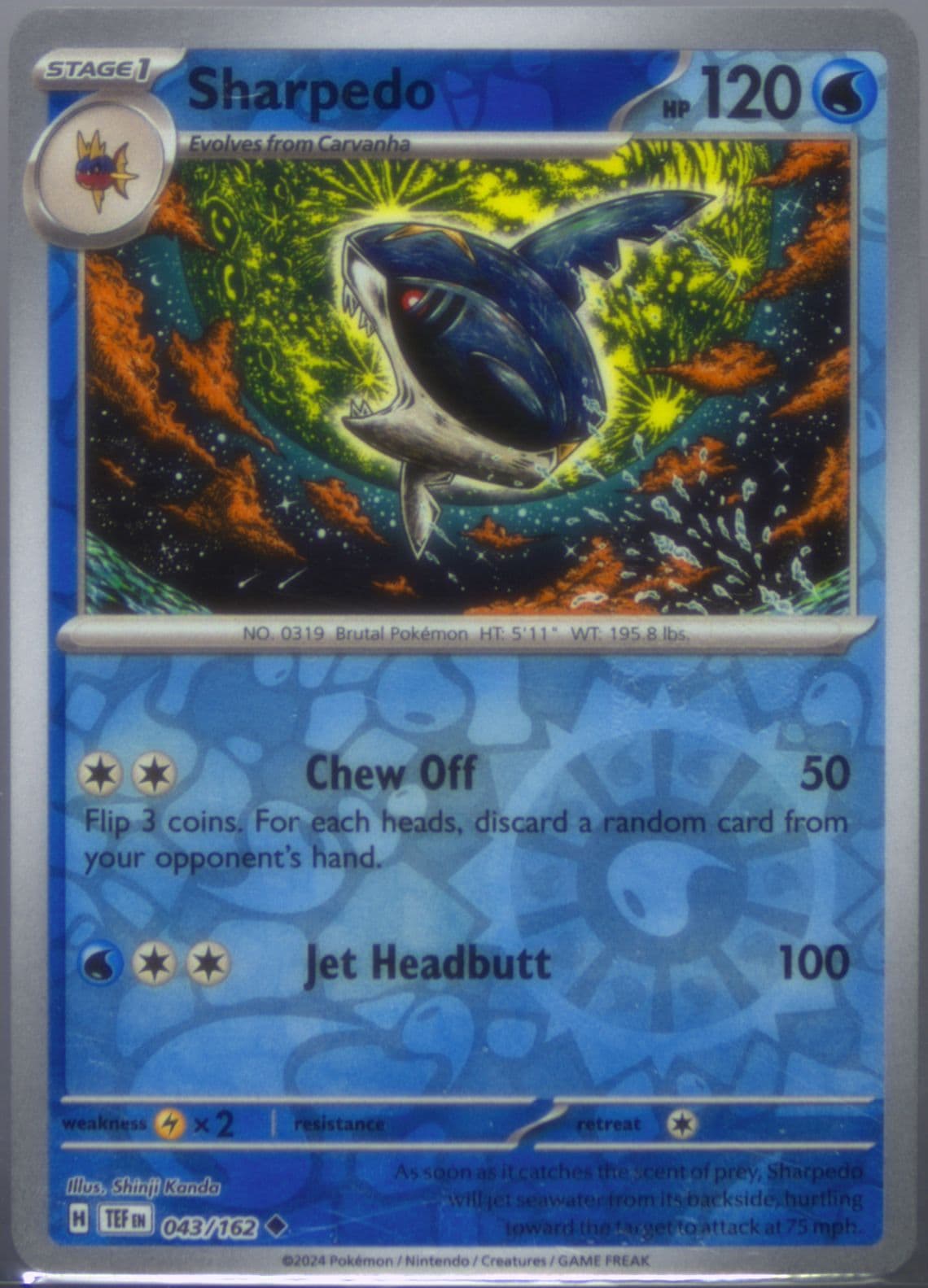 Sharpedo Reverse Holo (043) 2024 Pokemon Tef EN-Temporal Forces