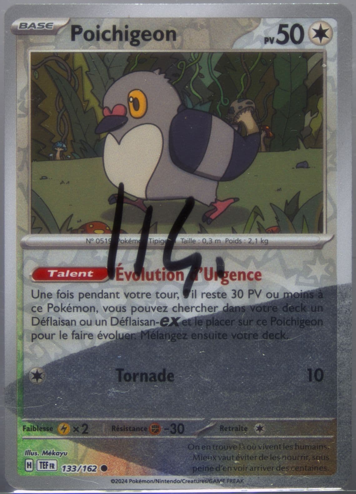 Pidove Reverse Holo (133) 2024 Pokemon French Tef FR-Temporal Forces
