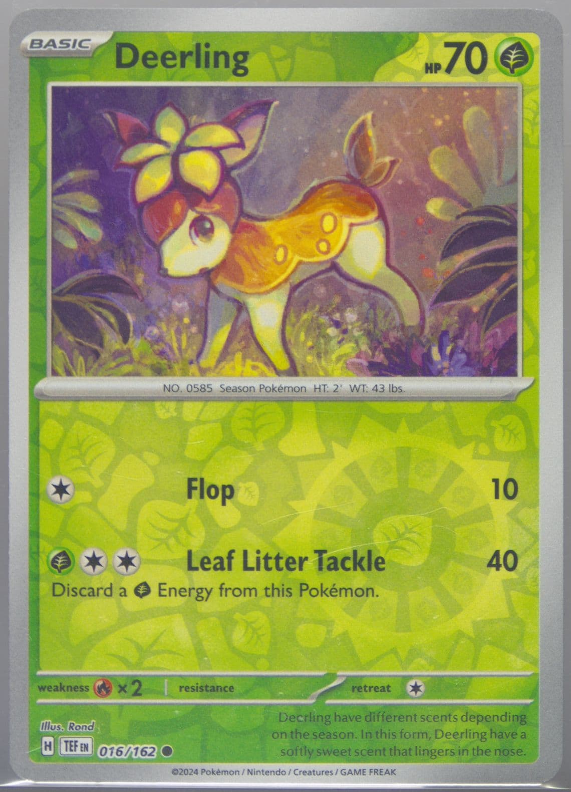 Deerling Reverse Holo (016) 2024 Pokemon Tef EN-Temporal Forces