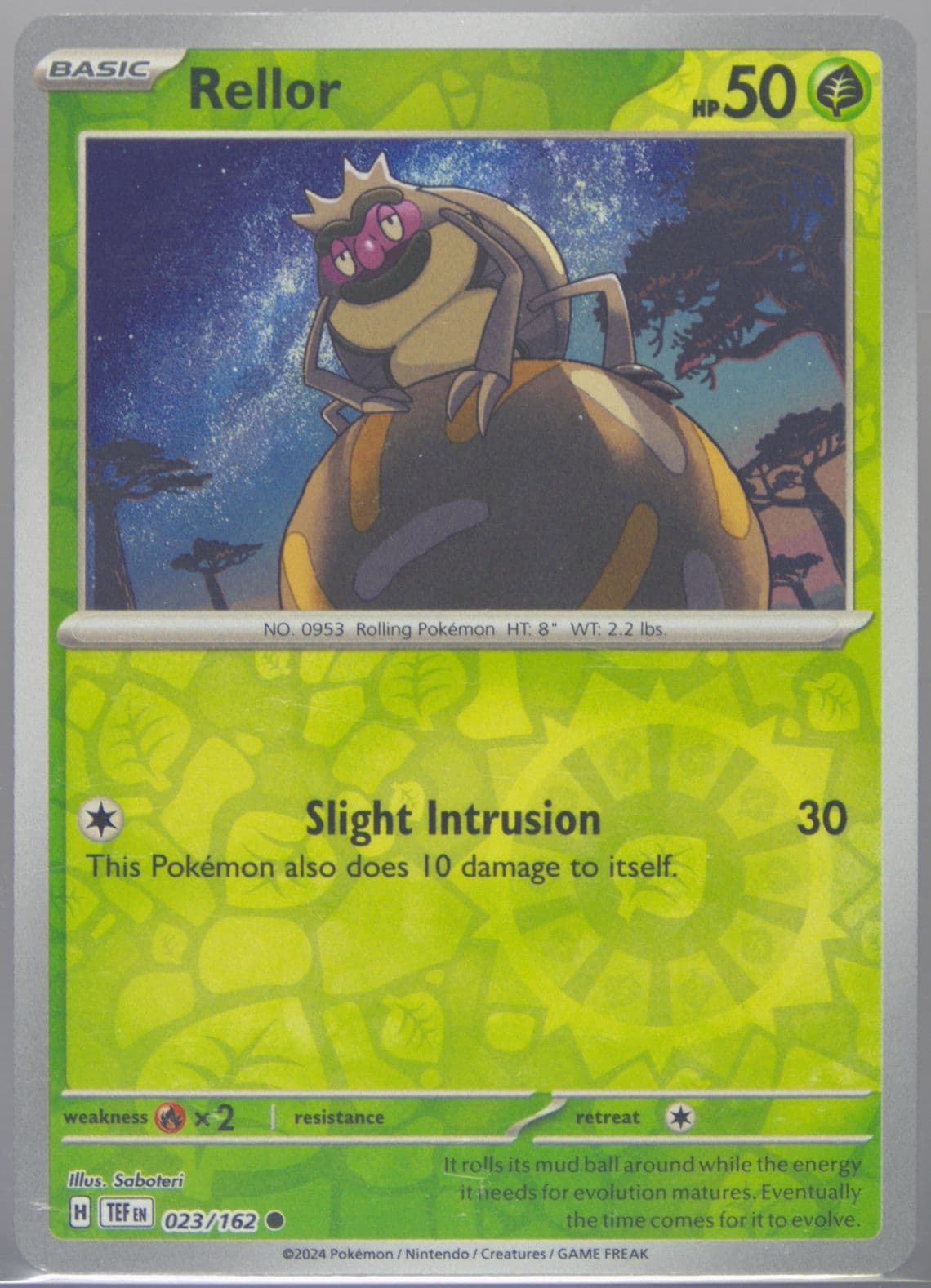 Rellor Reverse Holo (023) 2024 Pokemon Tef EN-Temporal Forces