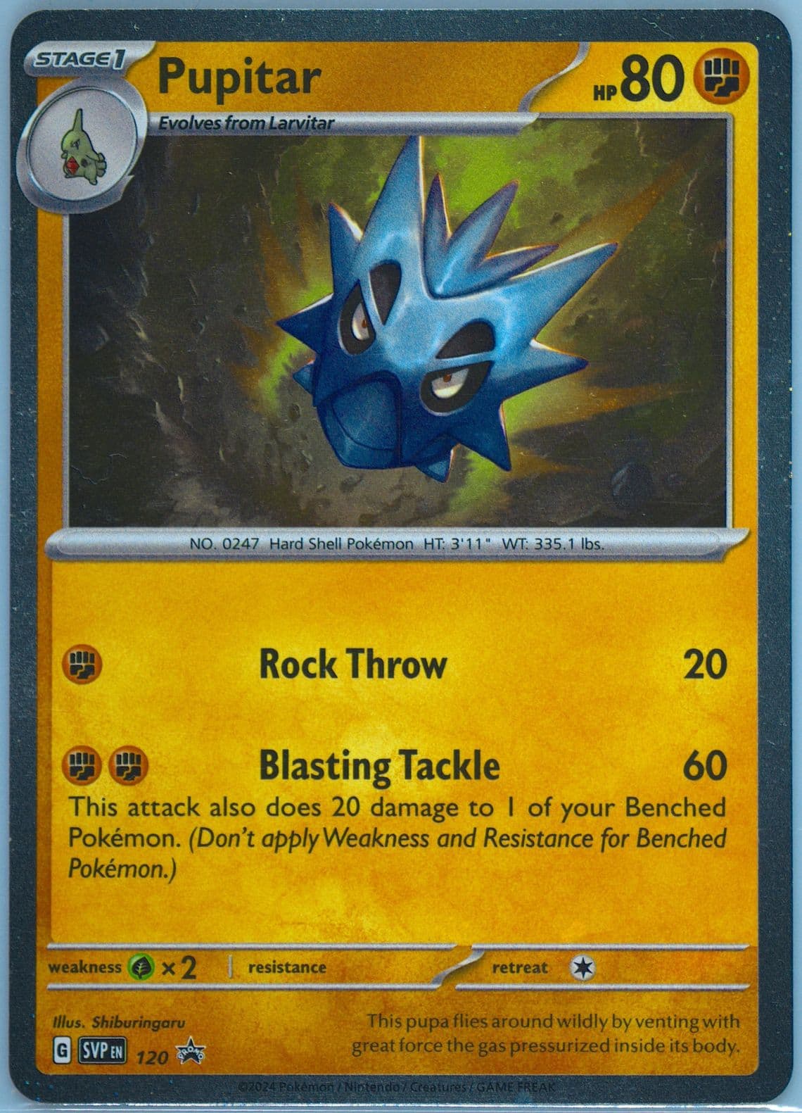 Pupitar Twilight Masquerade Single Pack Blister (120) 2024 Pokemon Svp EN-SV Black Star Promo