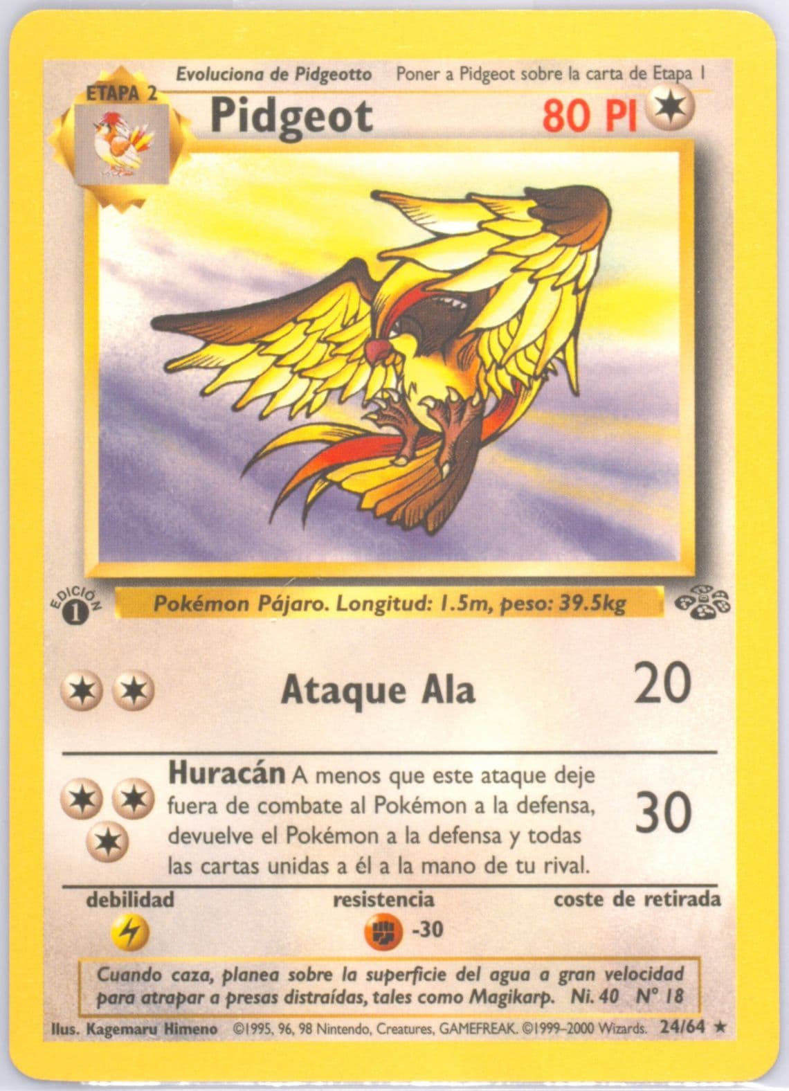 Pidgeot 1st Edition (24) 2000 Pokemon Spanish Jungle