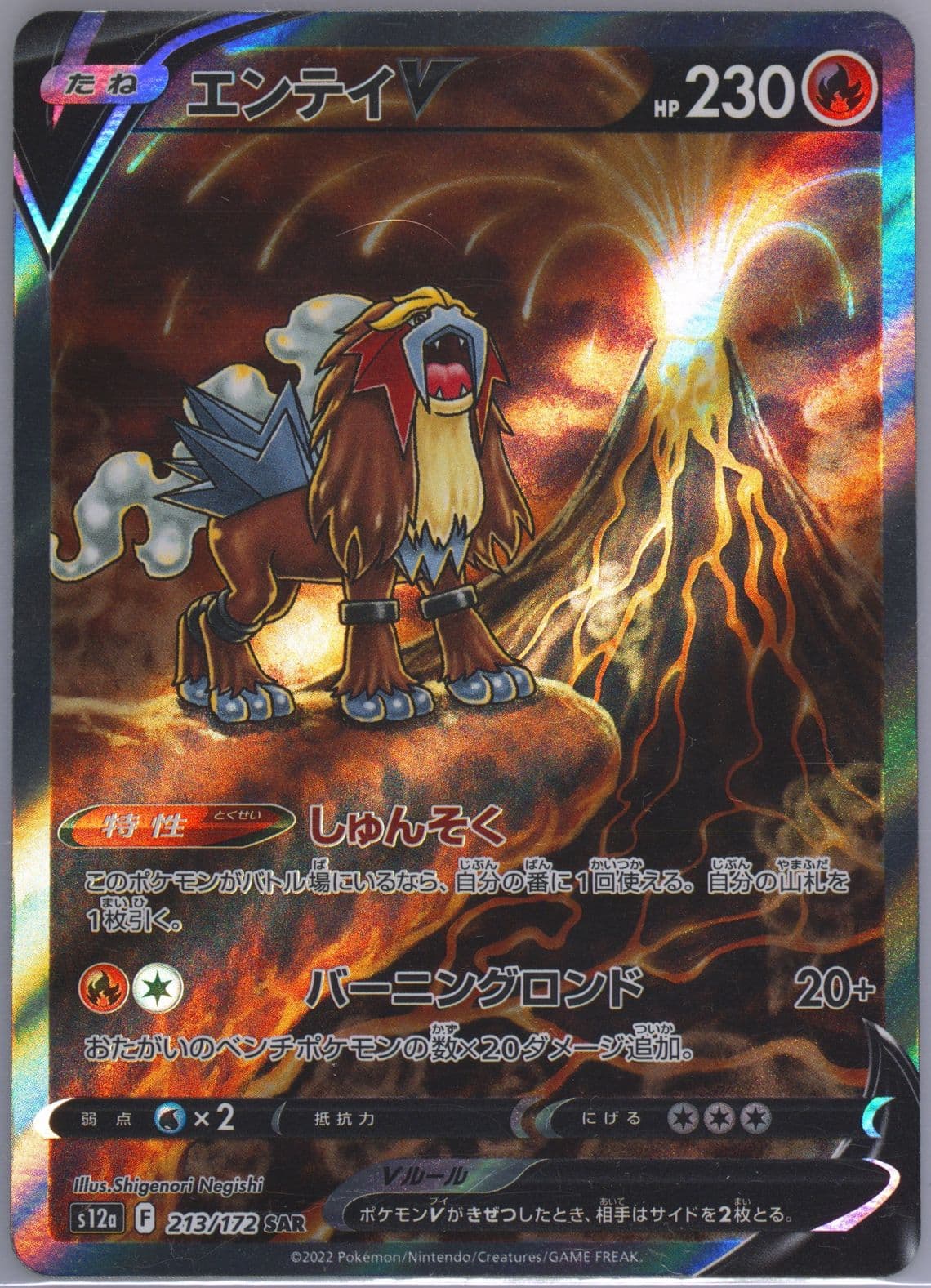 Full Art/Entei V Missing Texture (213) 2022 Pokemon Japanese Sword & Shield Vstar Universe