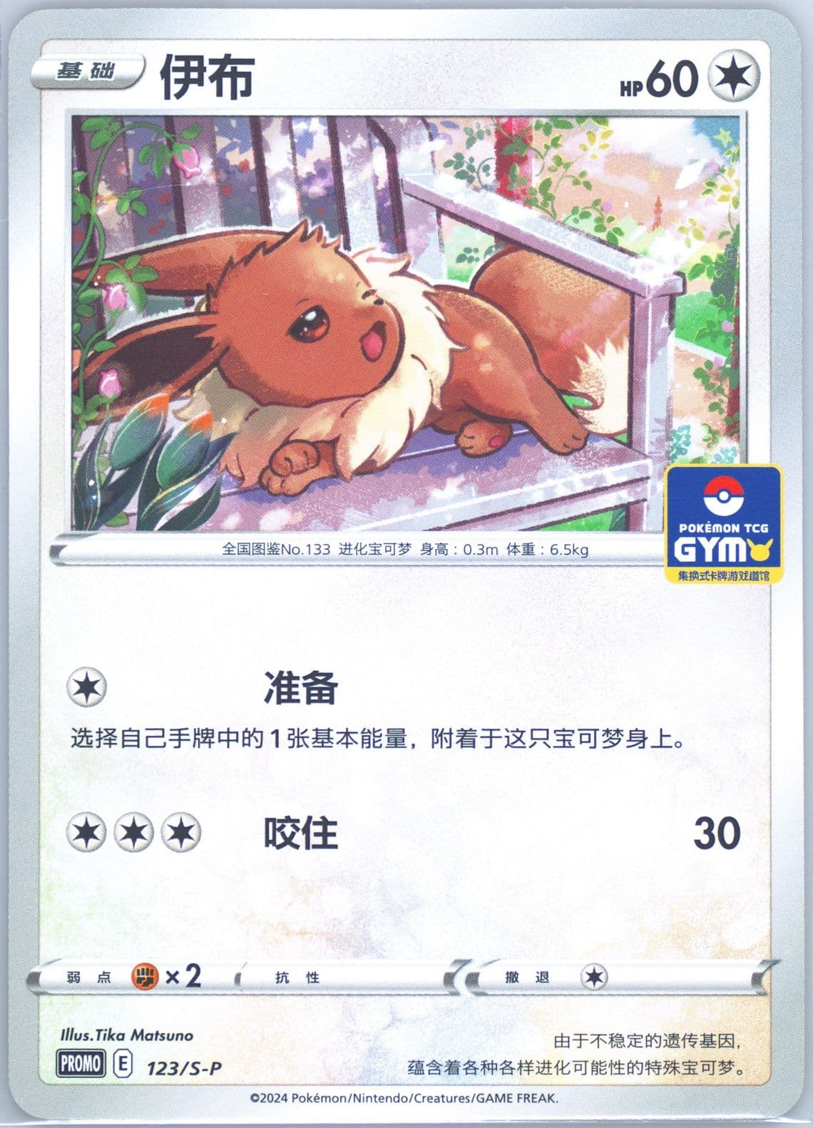 Eevee Pokemon TCG Gym Event Promo Pack Vol. 4 (123) 2024 Pokemon Simplified Chinese S Promo
