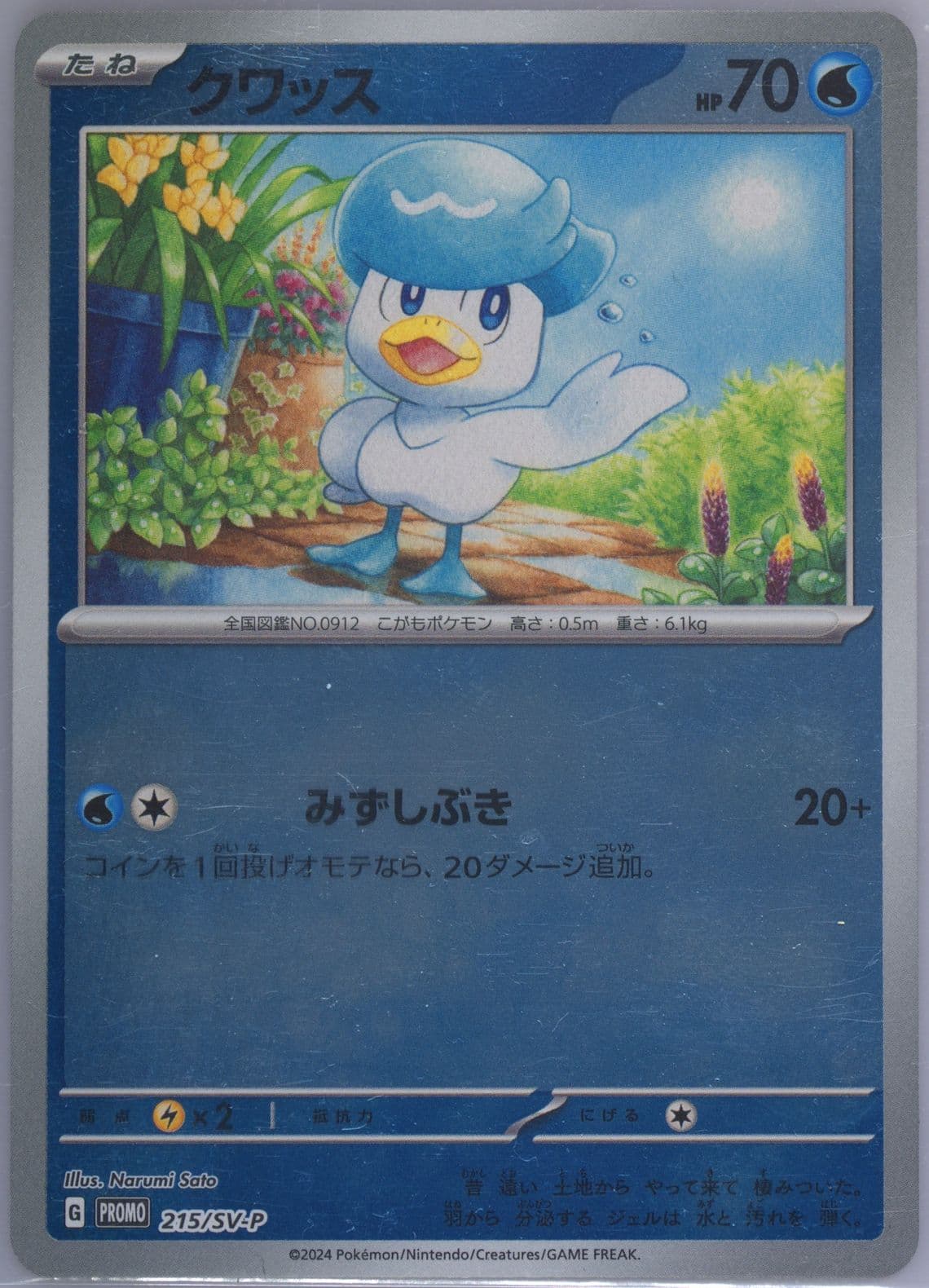 Quaxly Summer of Pokeca Is Here! Promo Card Get Campaign Pack (215) 2024 Pokemon Japanese SV-P Promo