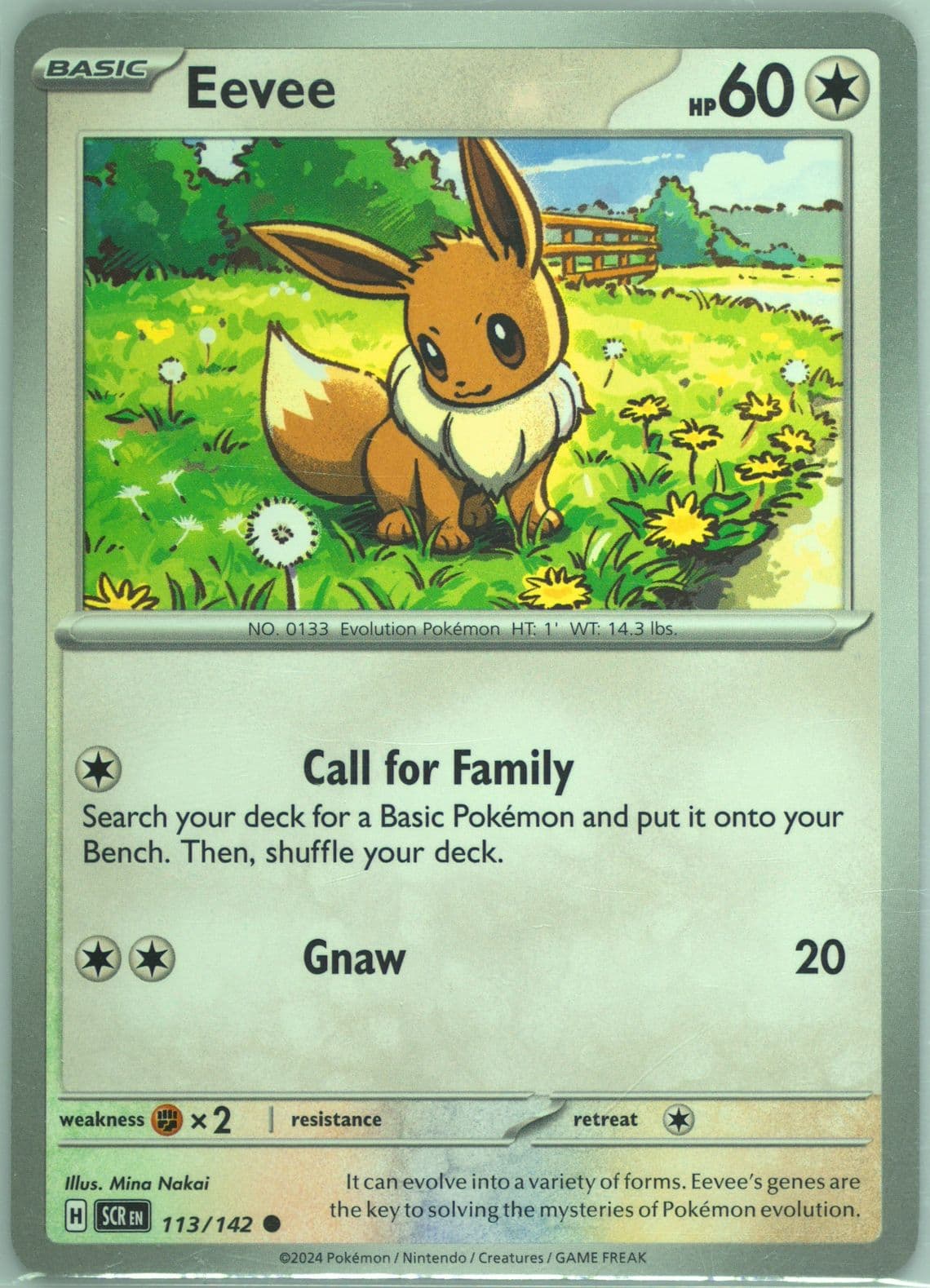 Eevee (113) 2024 Pokemon Scr EN-Stellar Crown