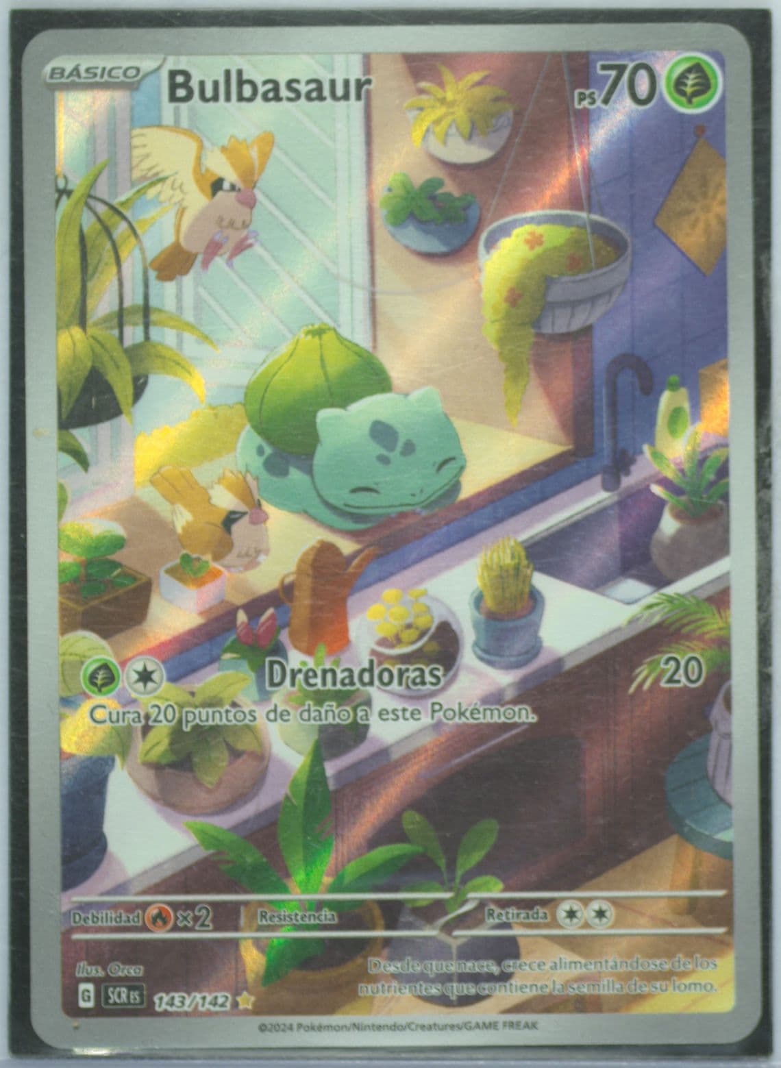 Bulbasaur Illustration Rare (143) 2024 Pokemon Spanish Scr ES-Stellar Crown