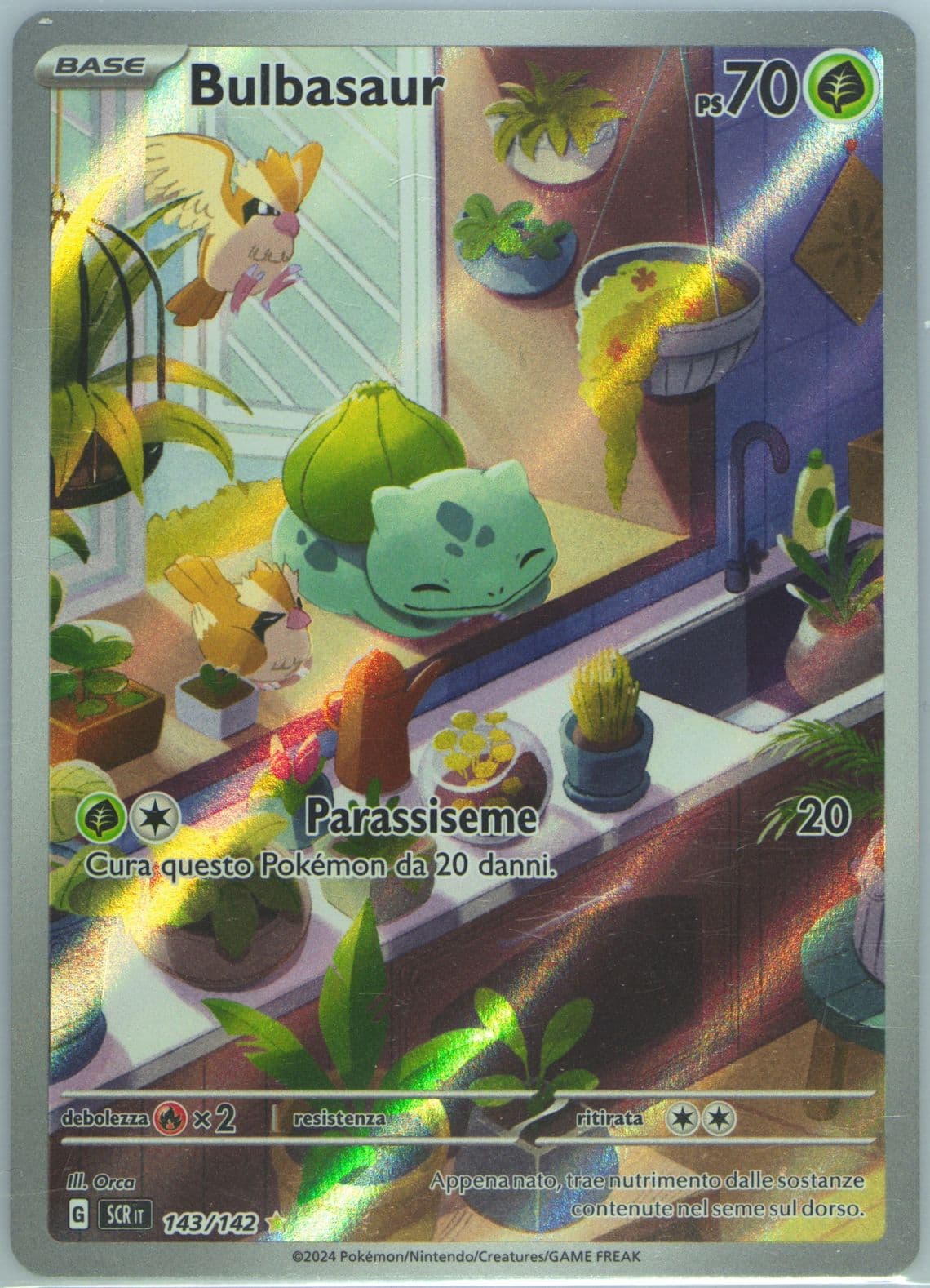 Bulbasaur Illustration Rare (143) 2024 Pokemon Italian Scr It-Stellar Crown