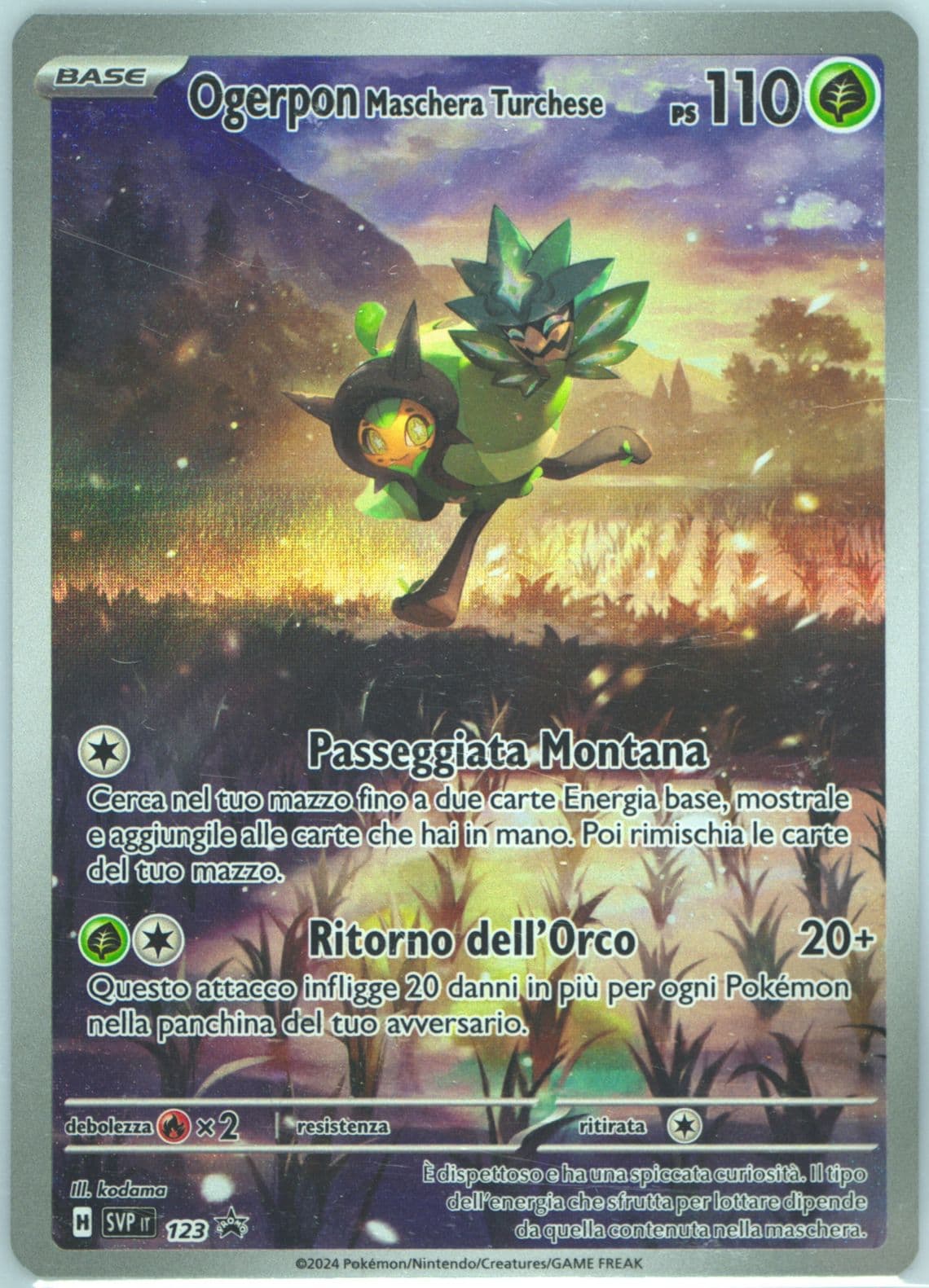 Teal Mask Ogerpon Twilight Masquerade Elite Trainer Box (123) 2024 Pokemon Italian Svp It-SV Black Star Promo