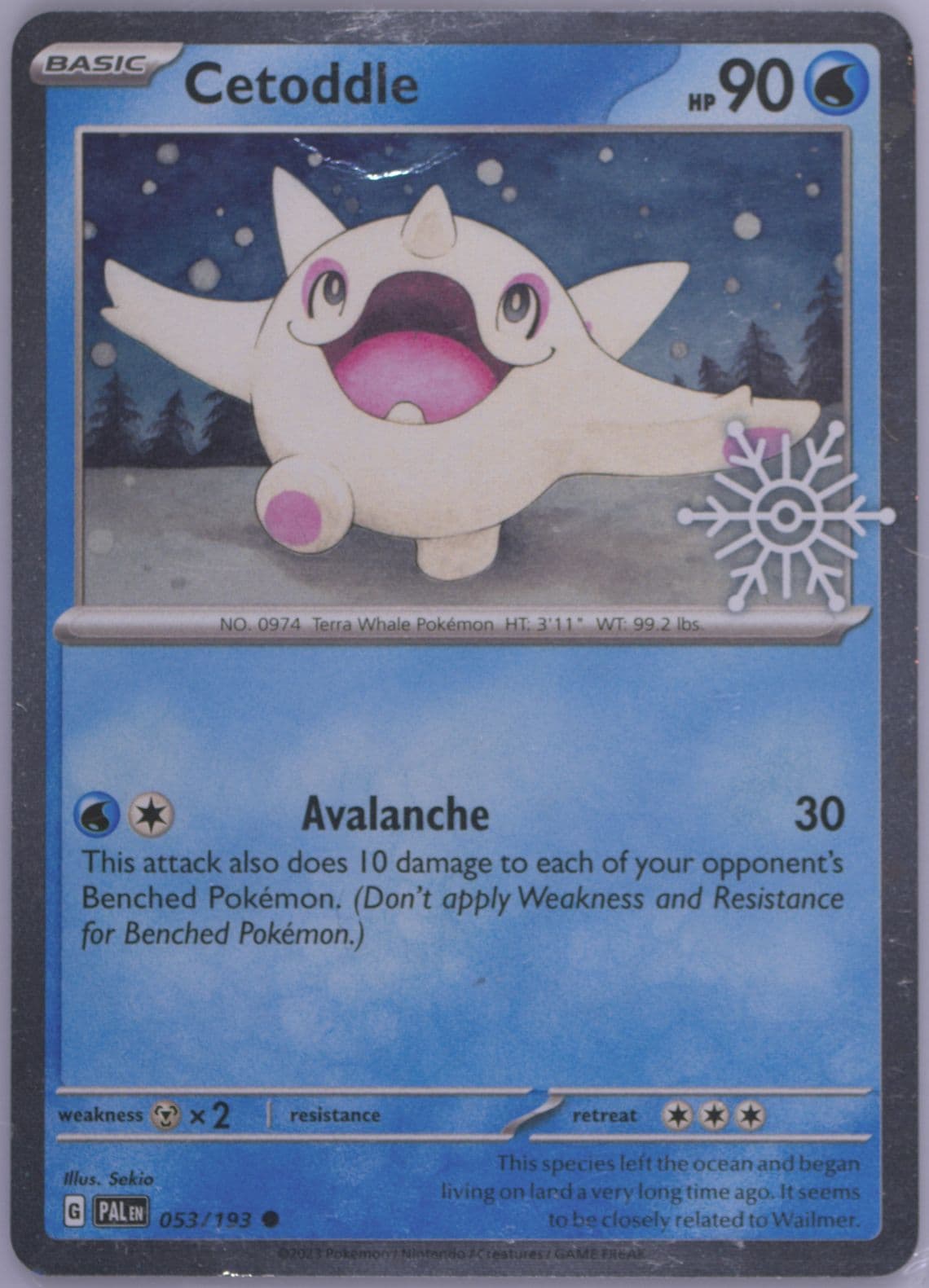 Cetoddle (053) 2024 Pokemon Holiday Calendar
