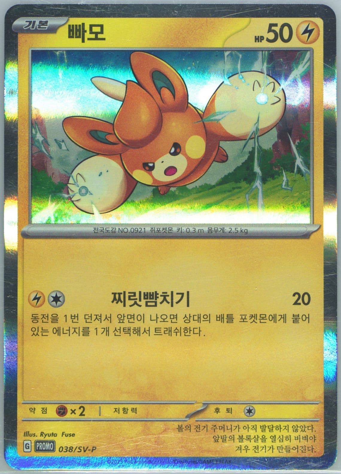 Pawmi Korean League Final Visitor Event (038) 2023 Pokemon Korean SV-P Promo