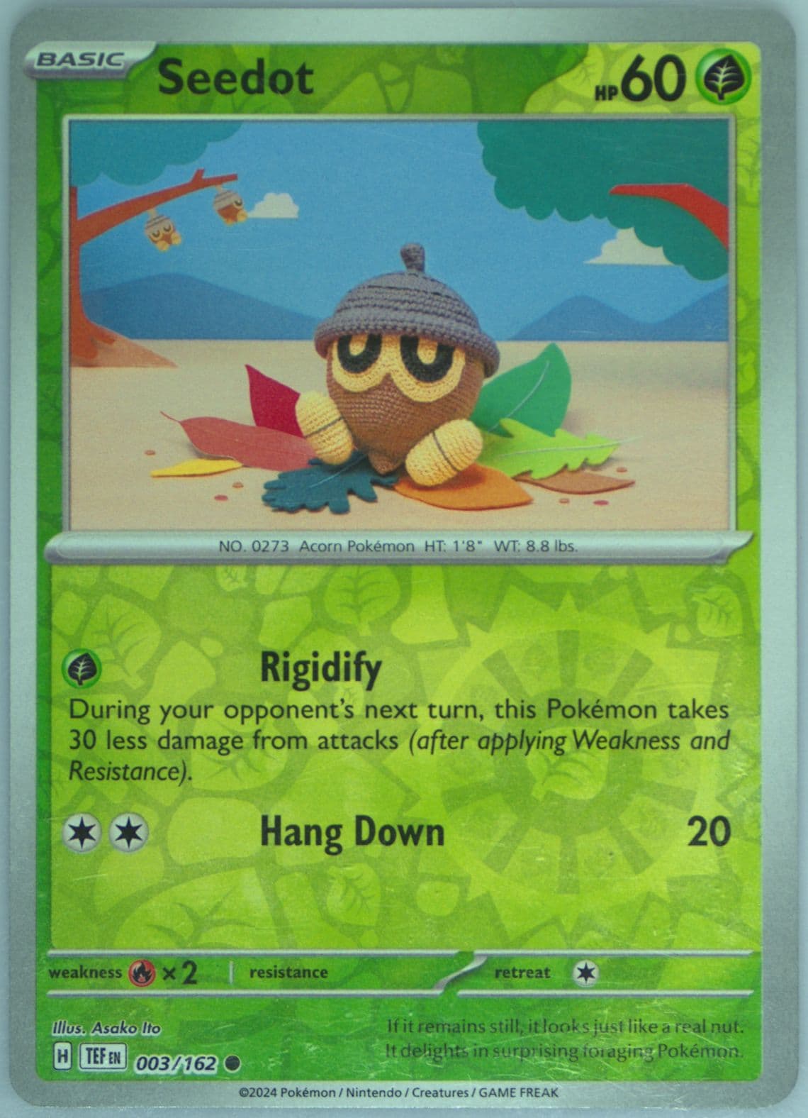 Seedot Reverse Holo (003) 2024 Pokemon Tef EN-Temporal Forces