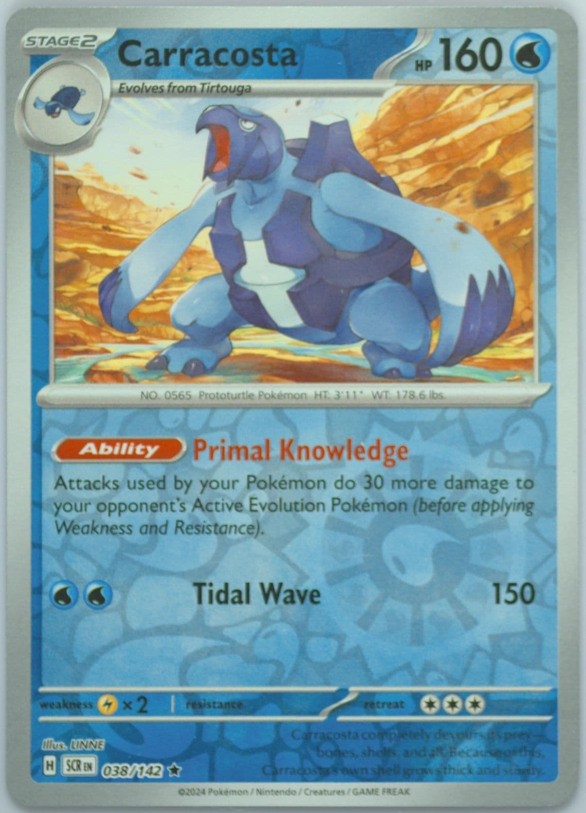 Carracosta Reverse Holo (038) 2024 Pokemon Scr EN-Stellar Crown