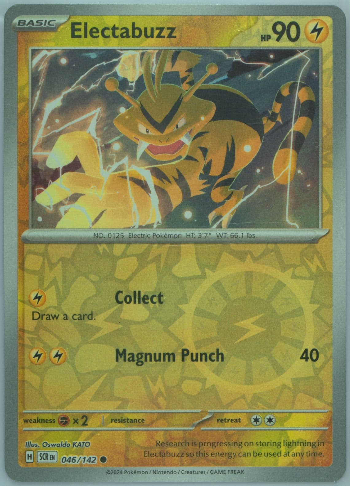 Electabuzz Reverse Holo (046) 2024 Pokemon Scr EN-Stellar Crown