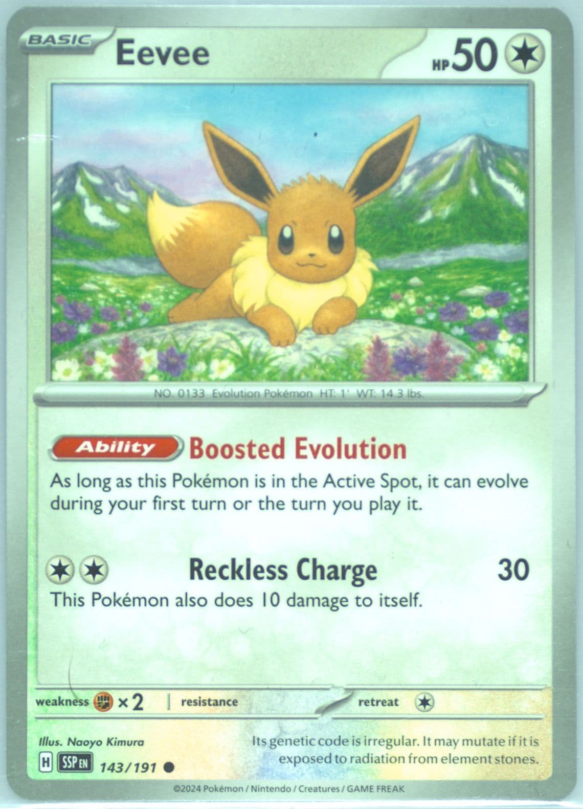 Eevee (143) 2024 Pokemon Ssp EN-Surging Sparks