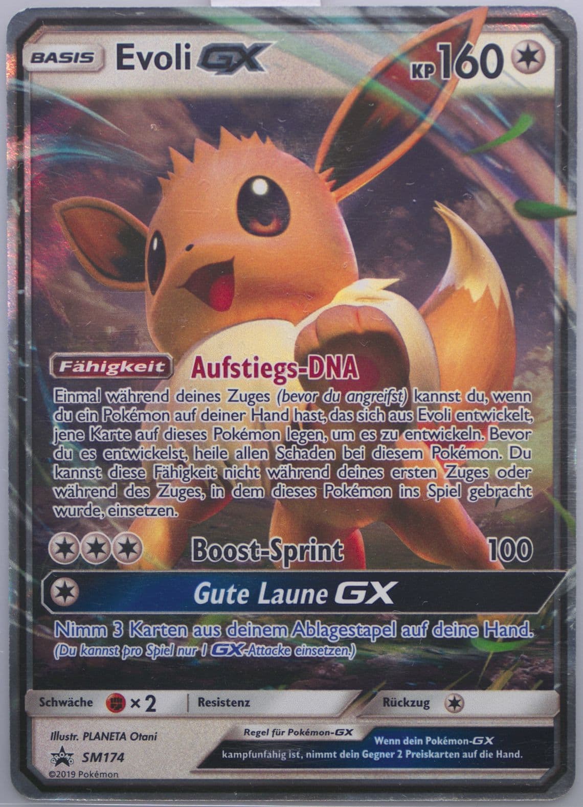 Evoli GX Flareon GX Special Collection-German (SM174) 2019 Pokemon SM Black Star Promo