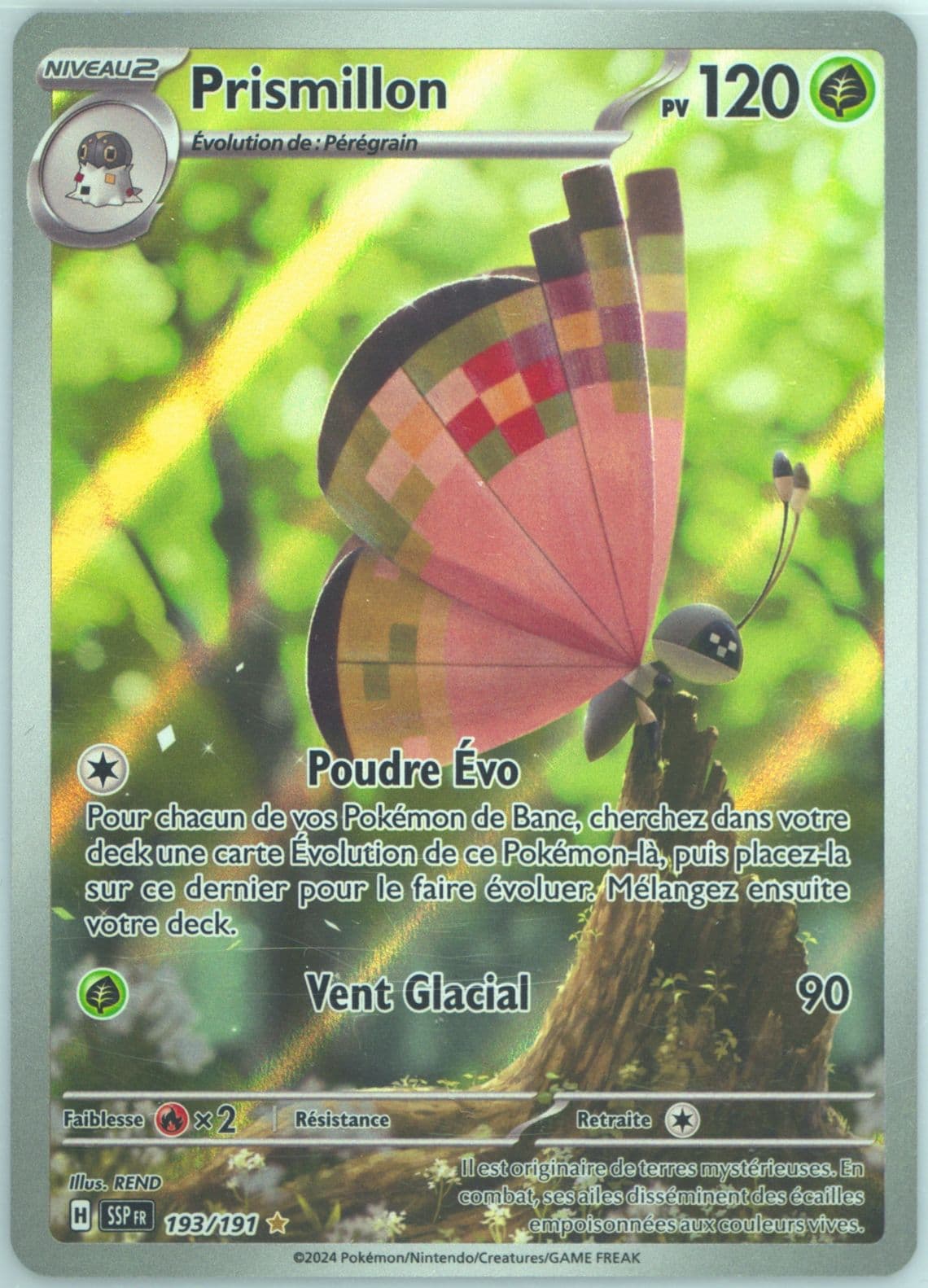 Vivillon Illustration Rare (193) 2024 Pokemon French Ssp FR-Surging Sparks