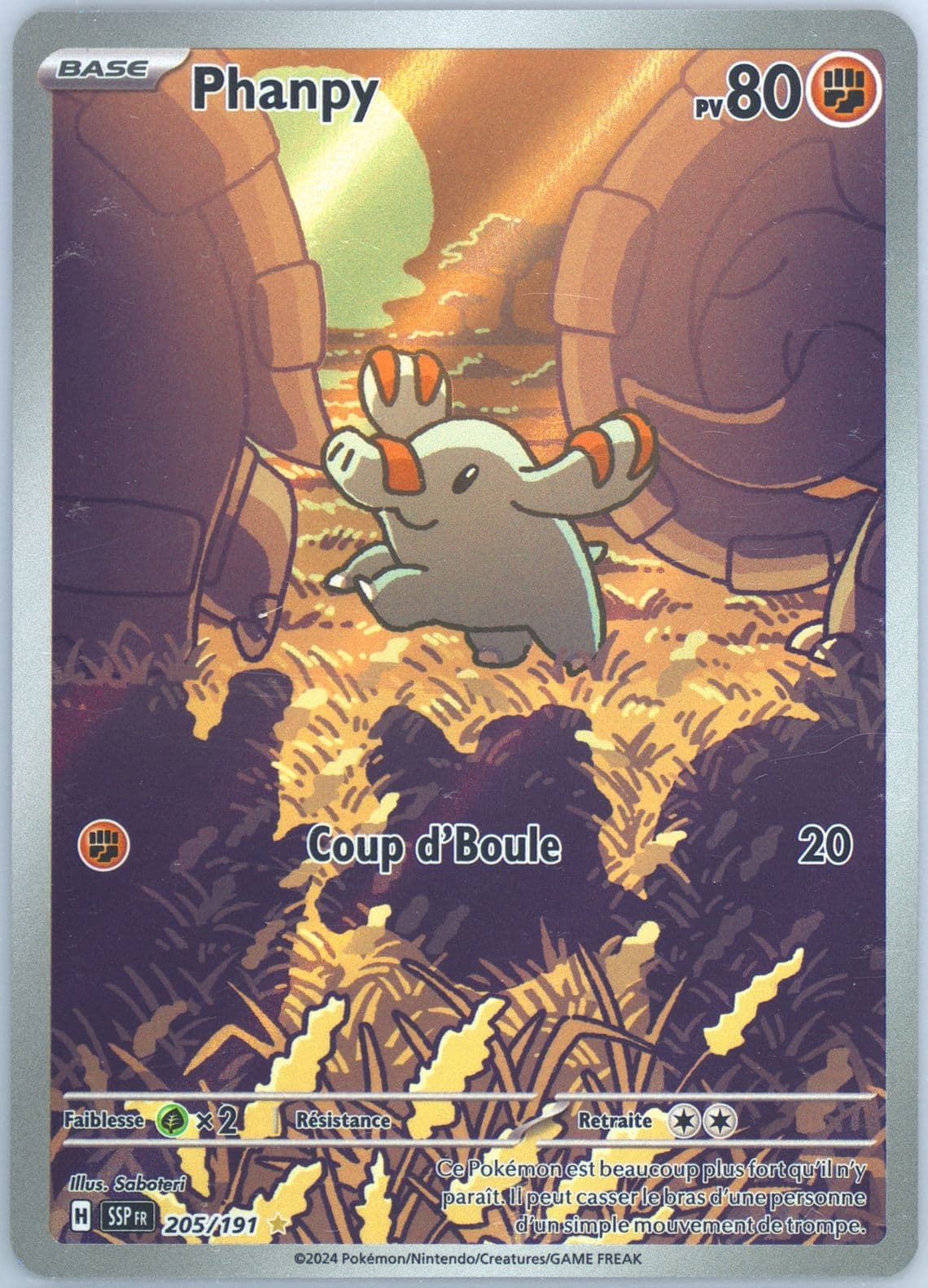 Phanpy Illustration Rare (205) 2024 Pokemon French Ssp FR-Surging Sparks