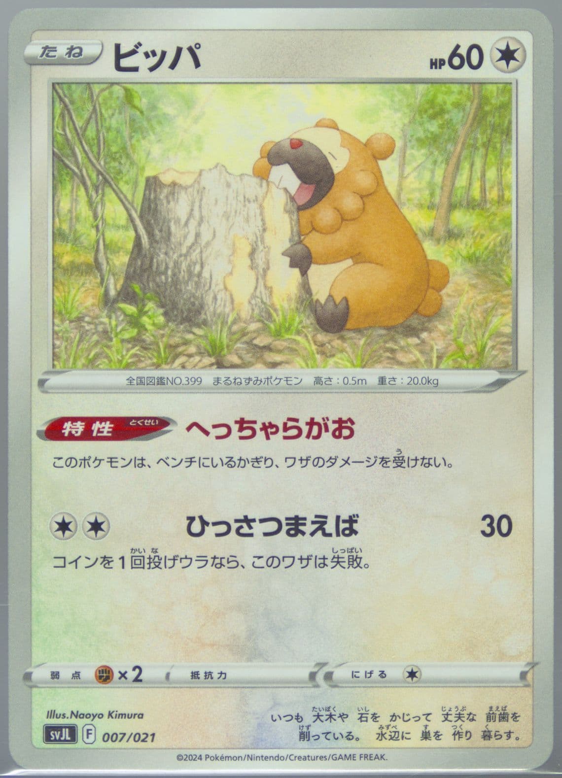 Bidoof (007) 2024 Pokemon Japanese Svjl-Battle Master Deck Terastal Charizard EX