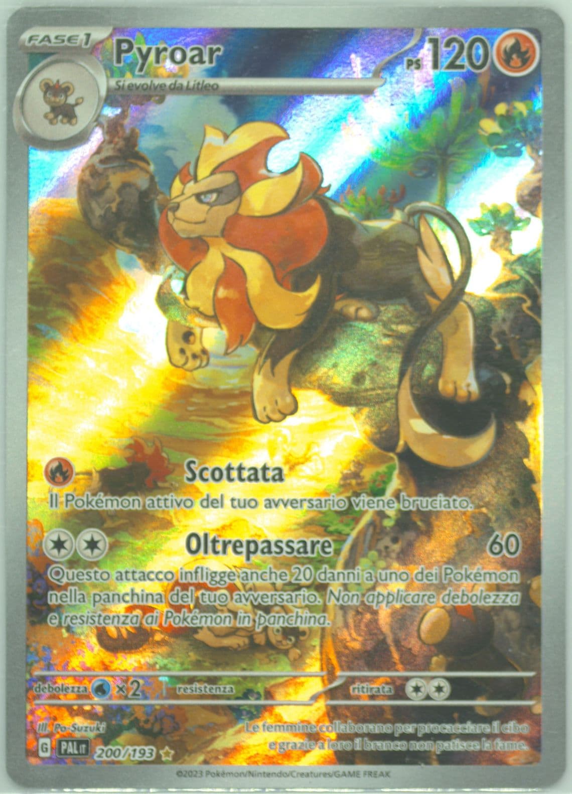 Pyroar Illustration Rare (200) 2023 Pokemon Italian Pal It-Paldea Evolved