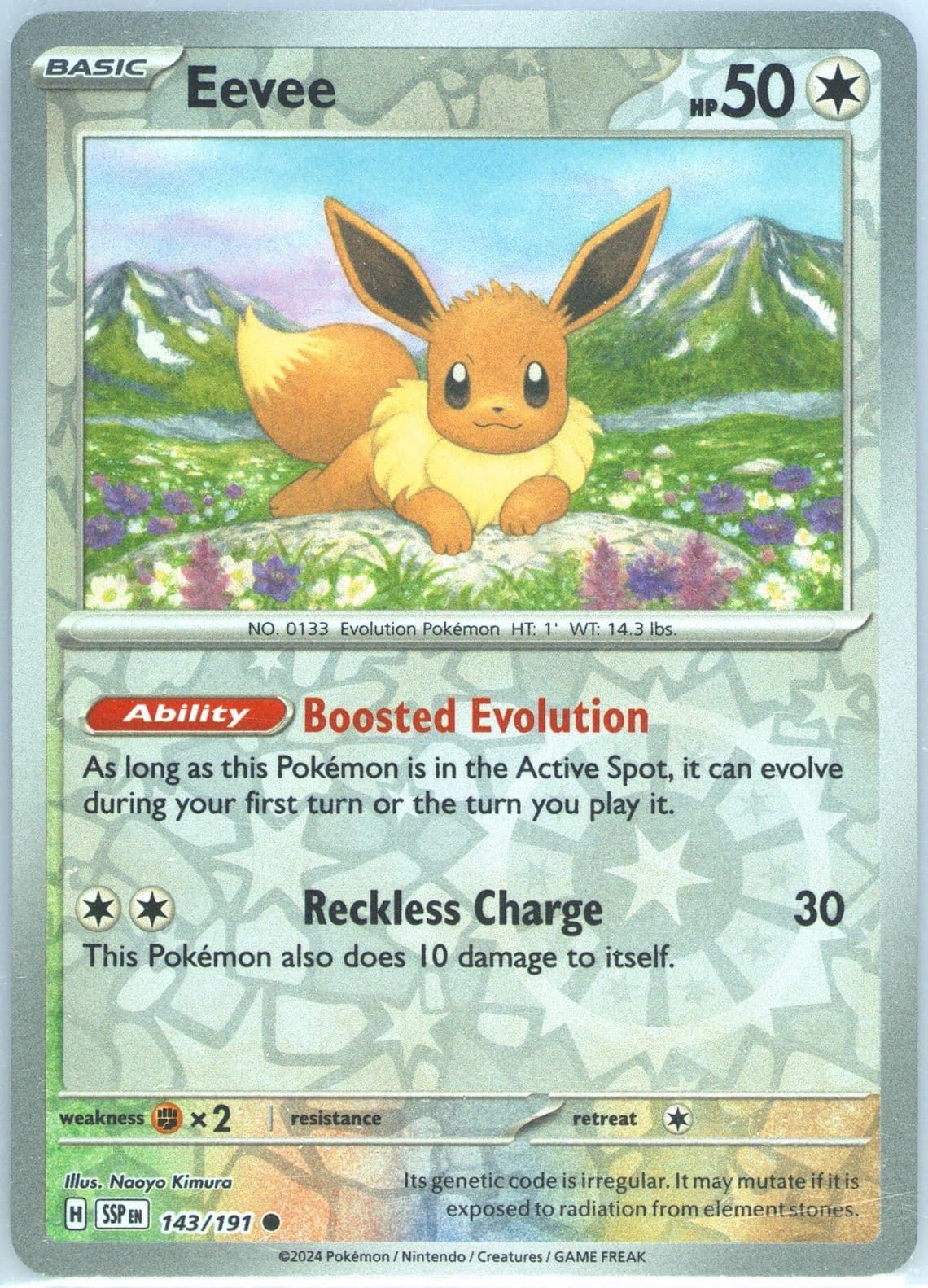 Eevee Reverse Holo (143) 2024 Pokemon Ssp EN-Surging Sparks