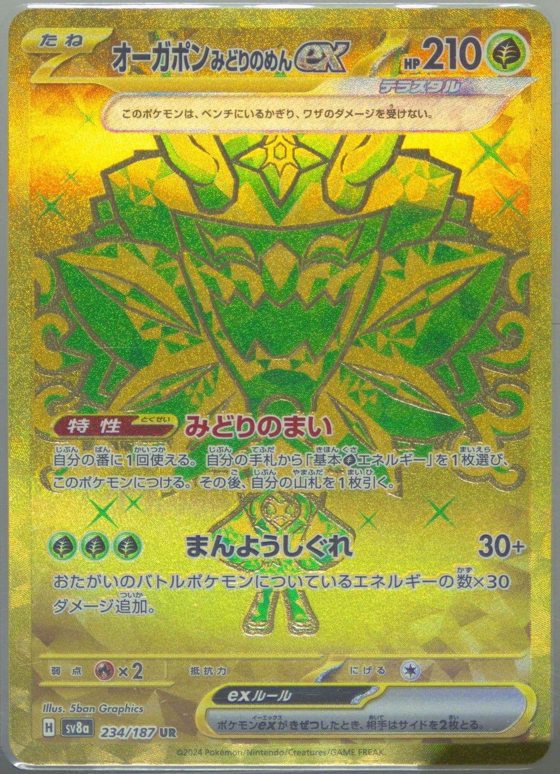 Teal Mask Ogerpon EX Ultra Rare (234) 2024 Pokemon Japanese Sv8a-Terastal Fest EX