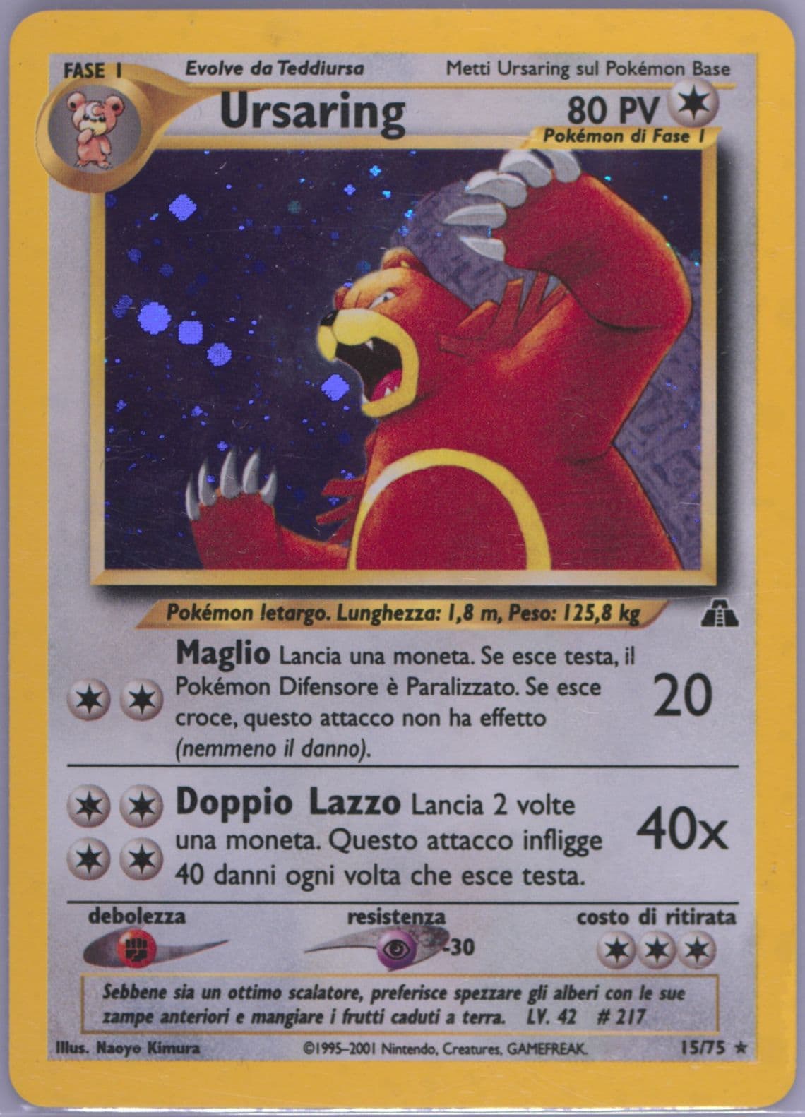 Ursaring-Holo Italian (15) 2001 Pokemon Neo Discovery