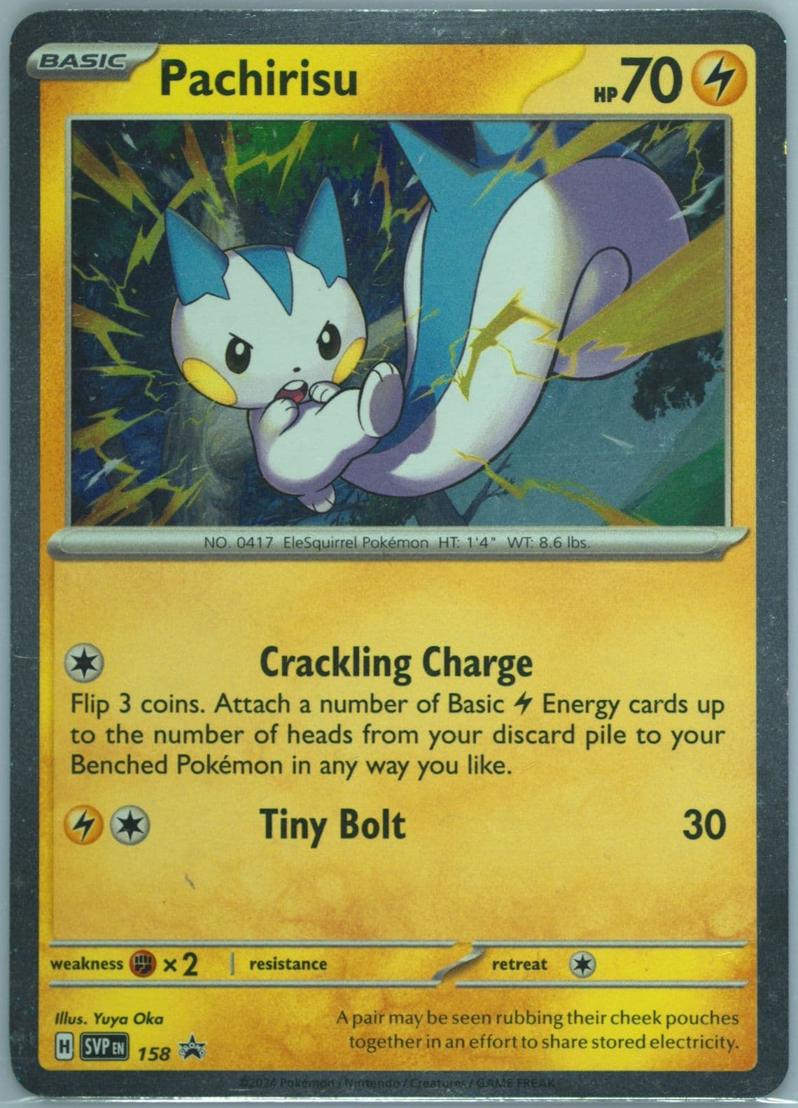 Pachirisu Surging Sparks Single Pack Blister (158) 2024 Pokemon Svp EN-SV Black Star Promo