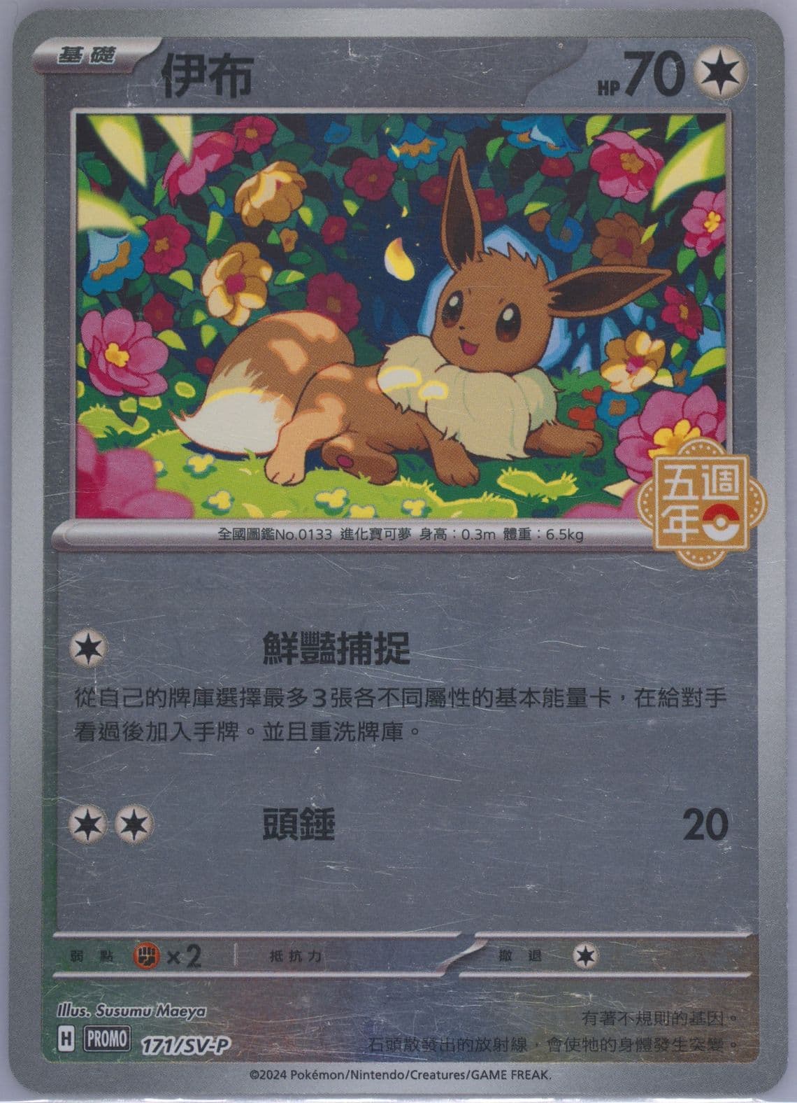 Eevee 5th Anniversary Storage Box Set (171) 2024 Pokemon Traditional Chinese SV-P Promo