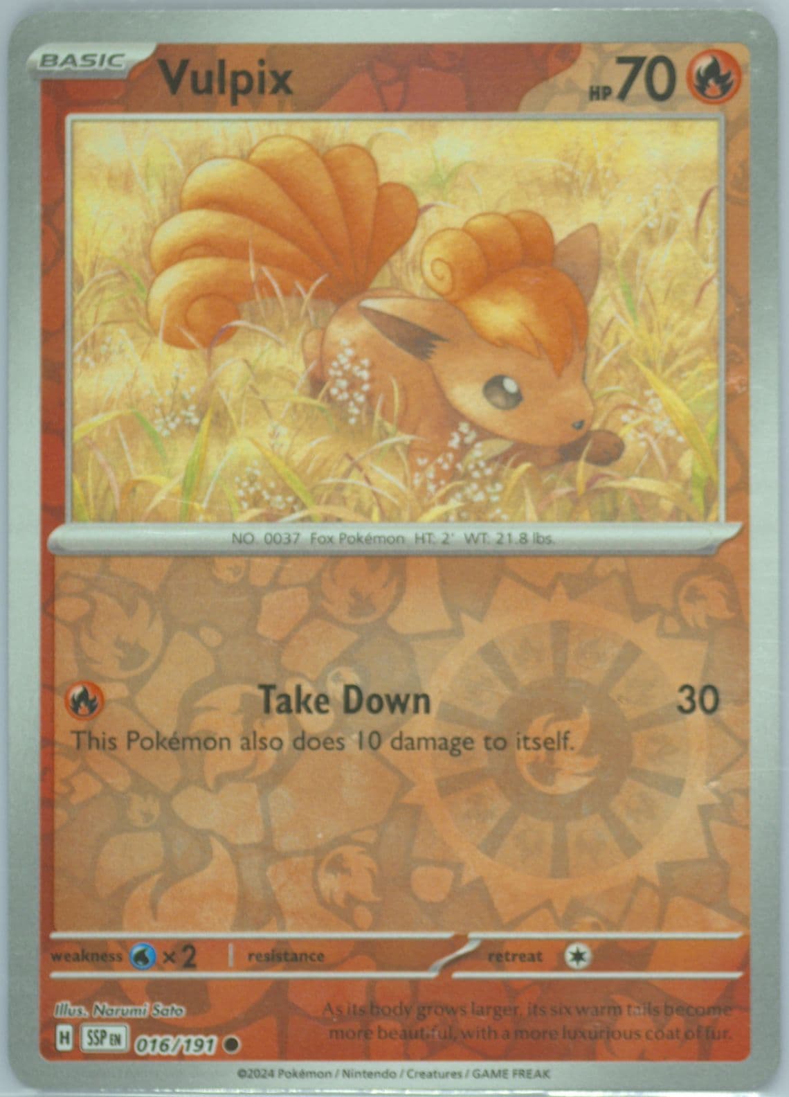 Vulpix Reverse Holo (016) 2024 Pokemon Ssp EN-Surging Sparks
